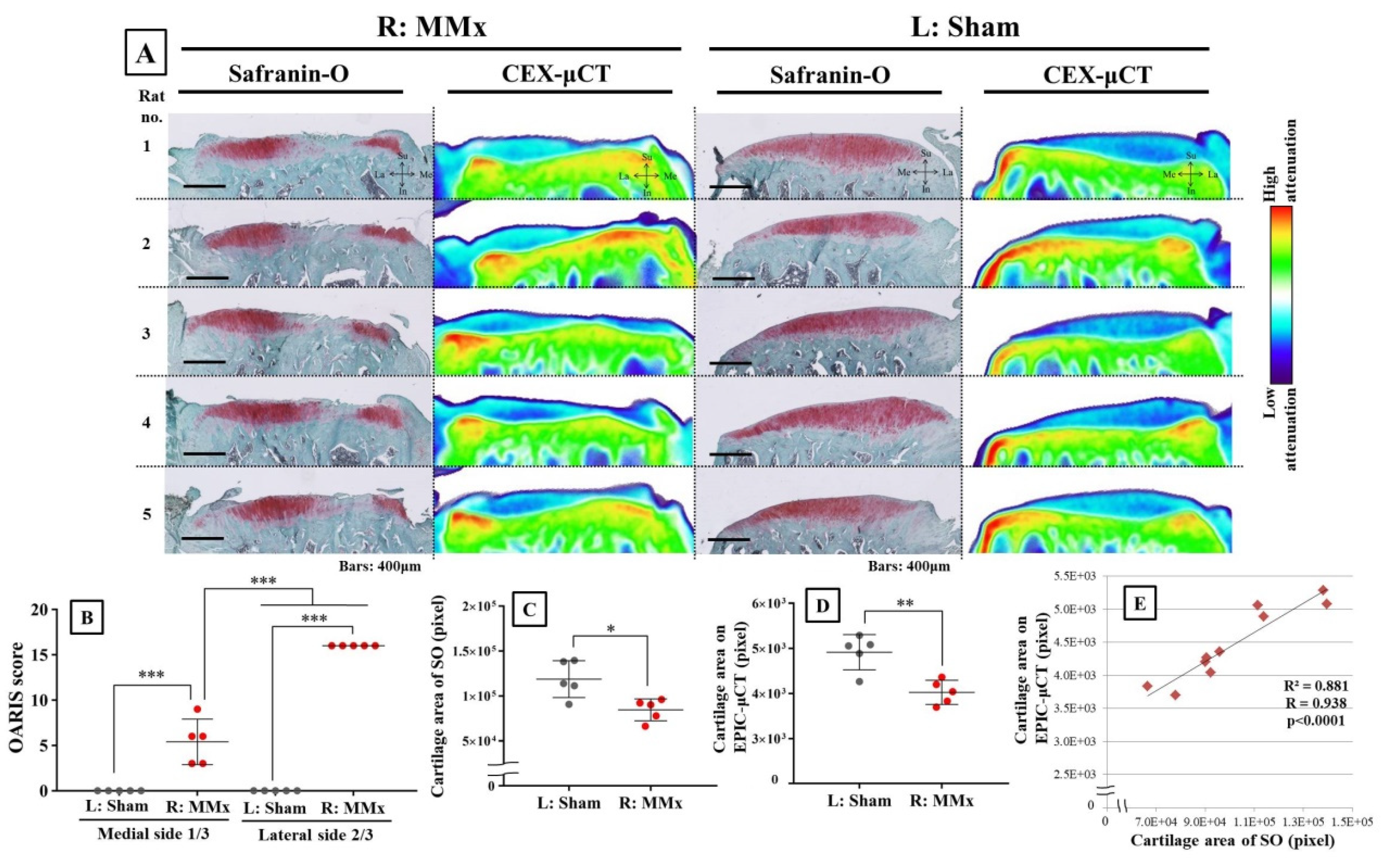Biomedicines 08 00056 g005 Biomedicines 08 00056 g005