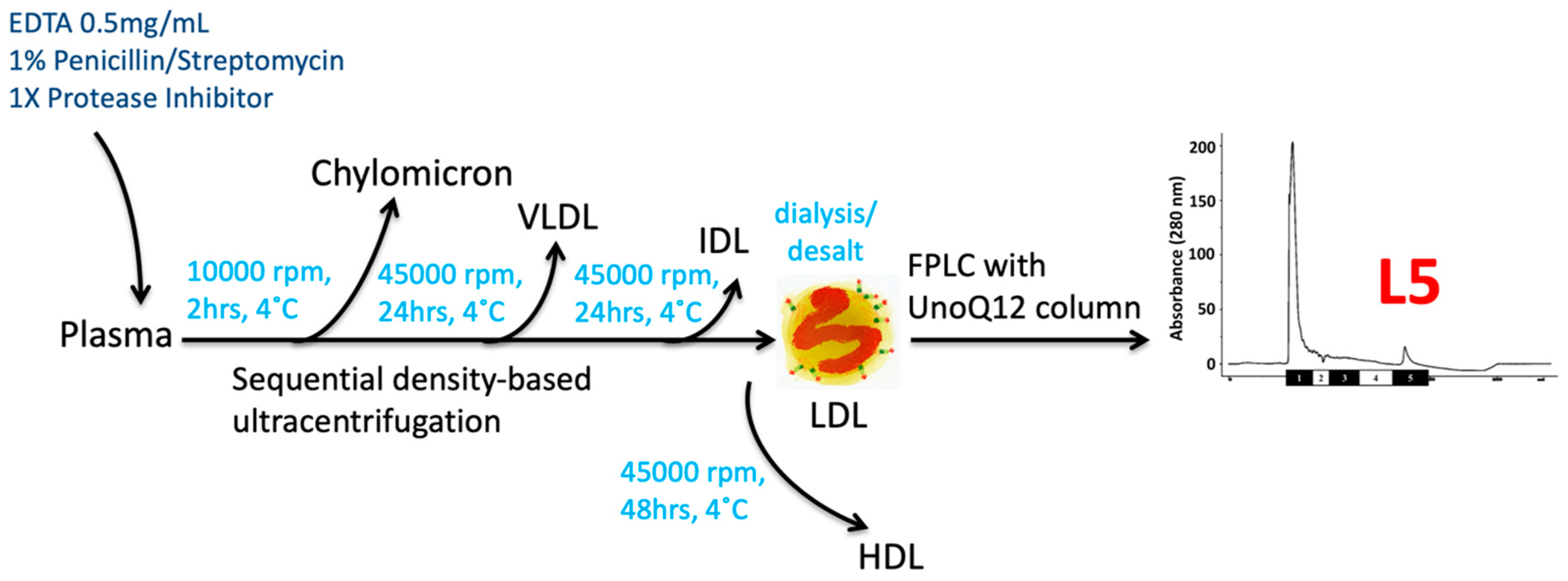 Biomedicines 08 00254 g001