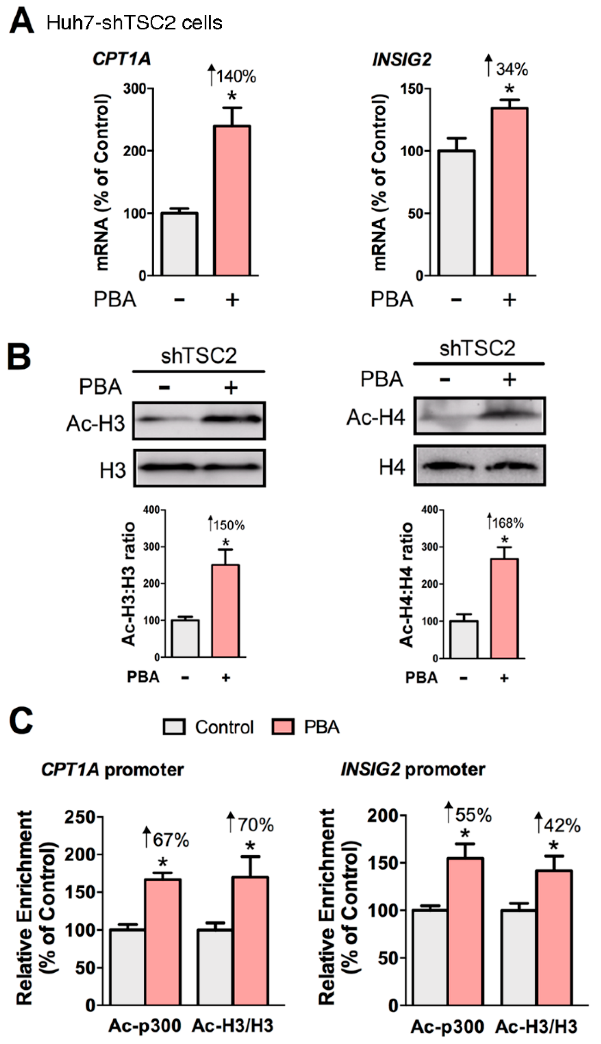 Biomedicines 08 00289 g004