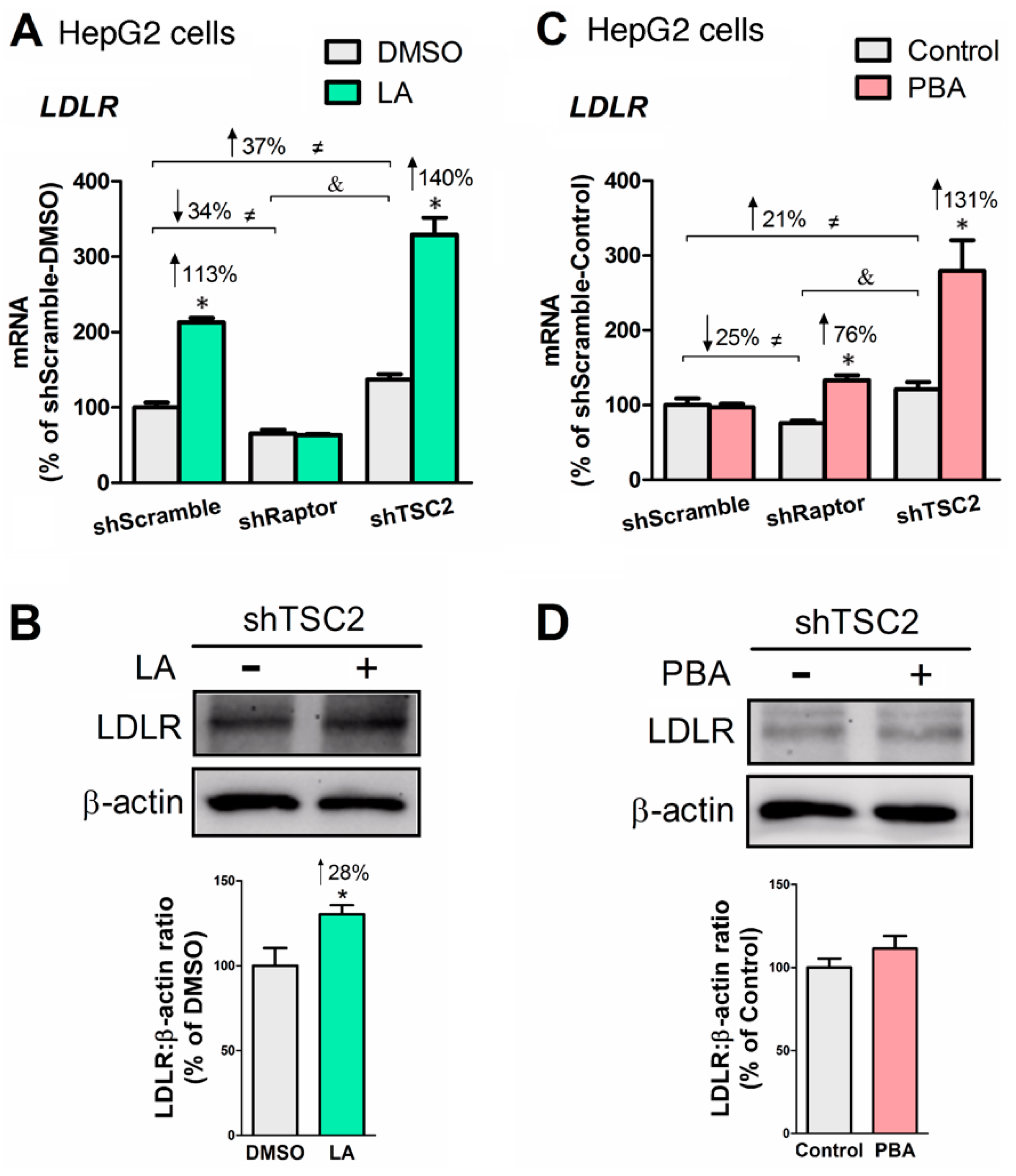 Biomedicines 08 00289 g006