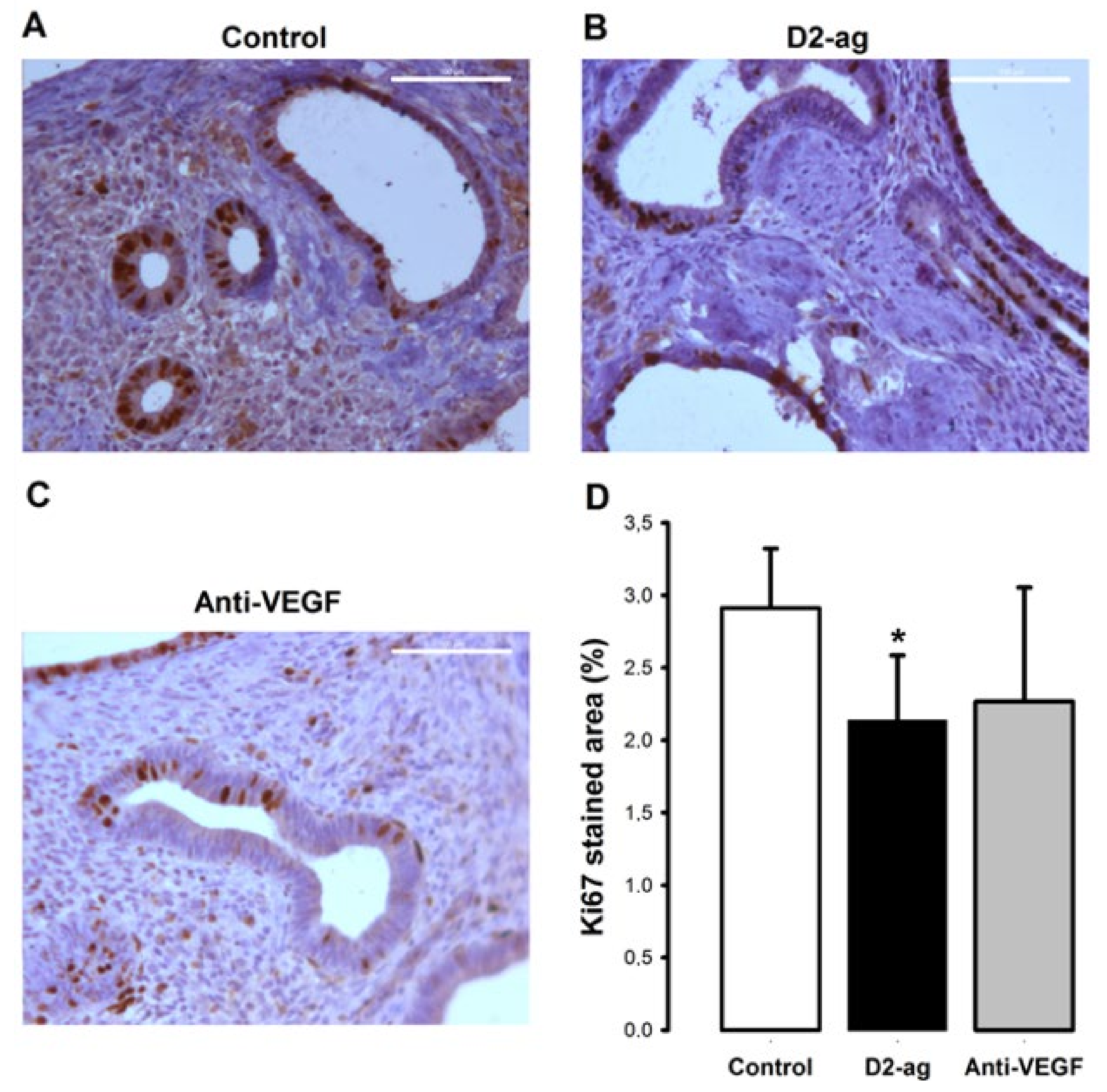 Biomedicines 09 00269 g003