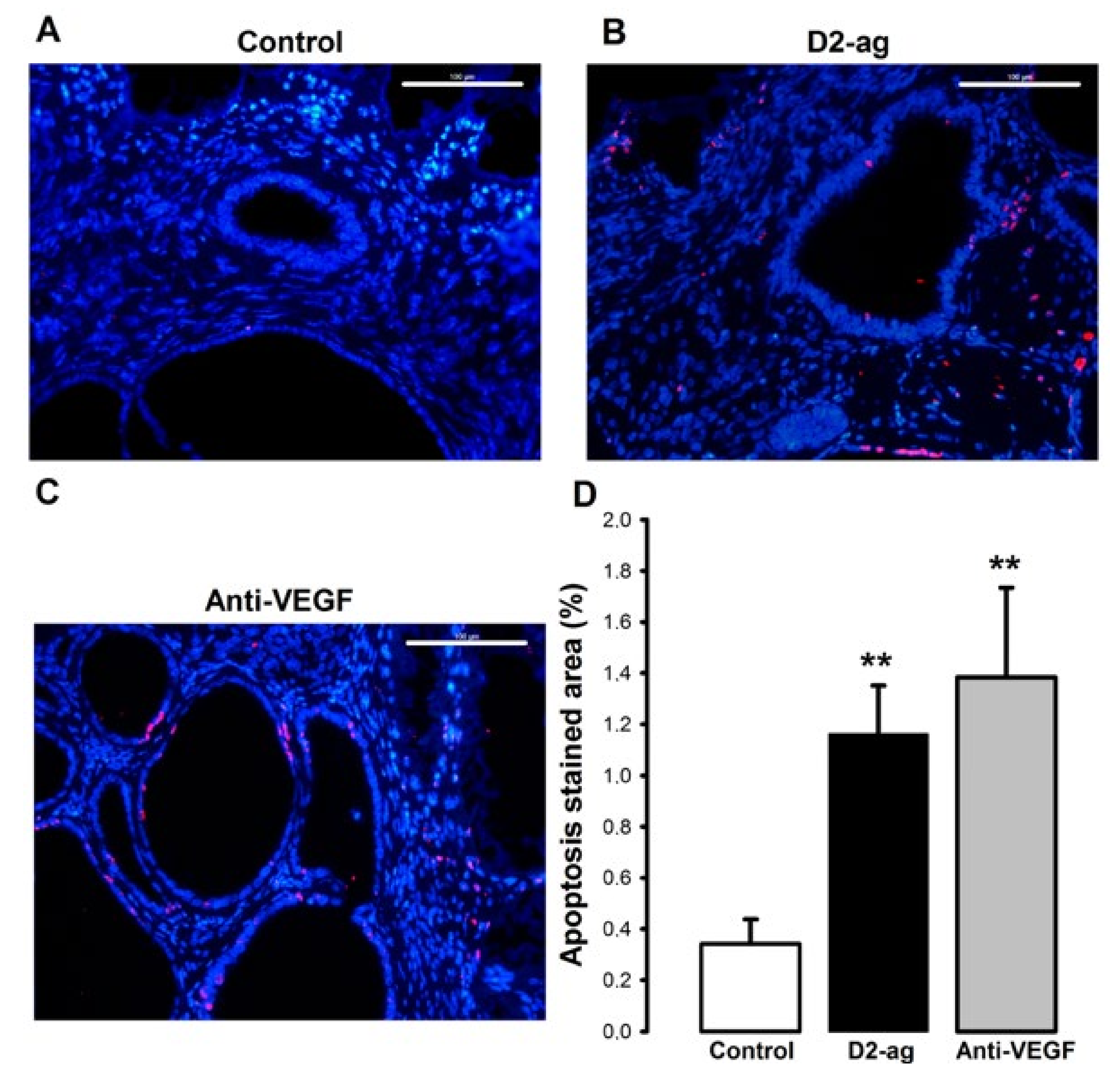 Biomedicines 09 00269 g004