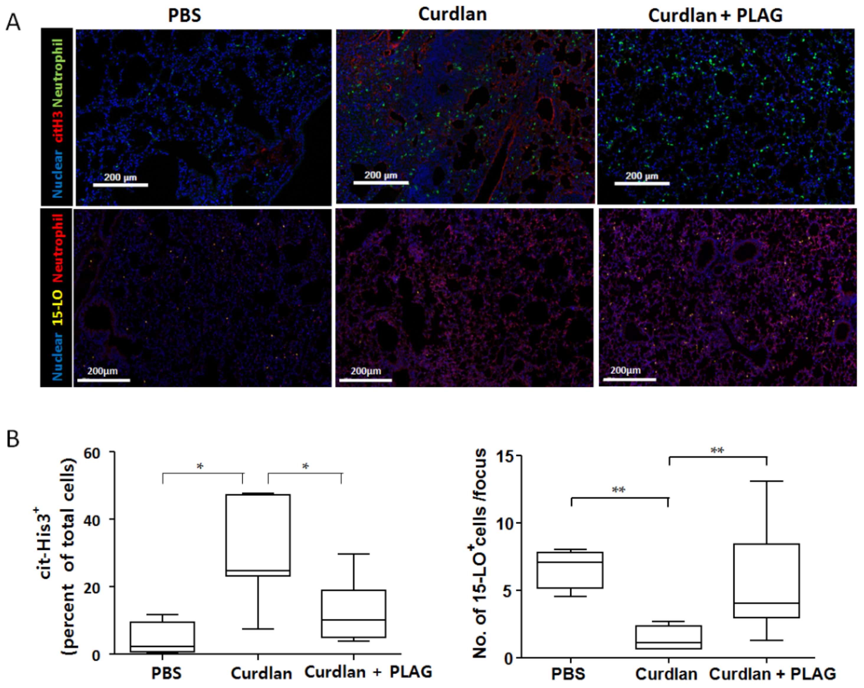 Biomedicines 09 01095 g004