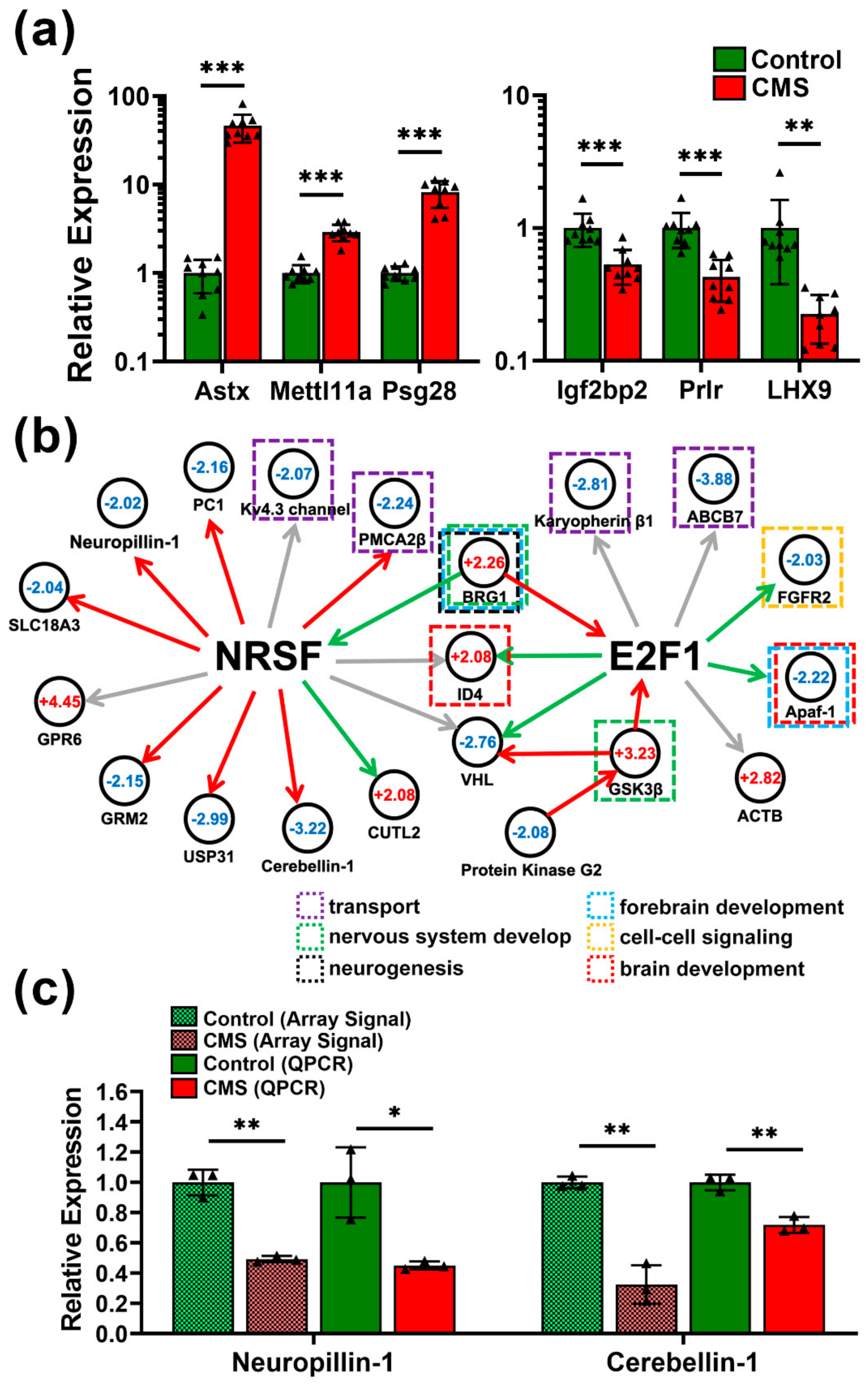 Biomedicines 09 01124 g005