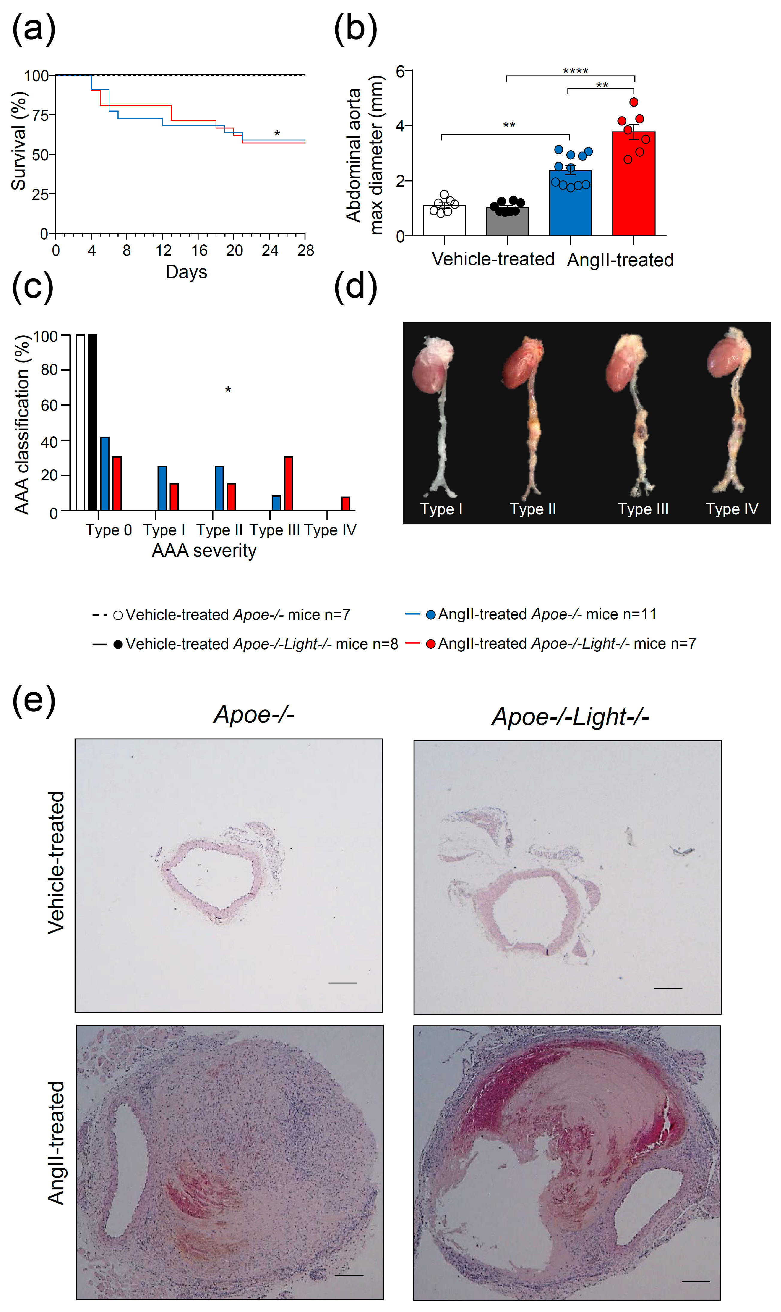 Biomedicines 09 01518 g001 Biomedicines 09 01518 g001