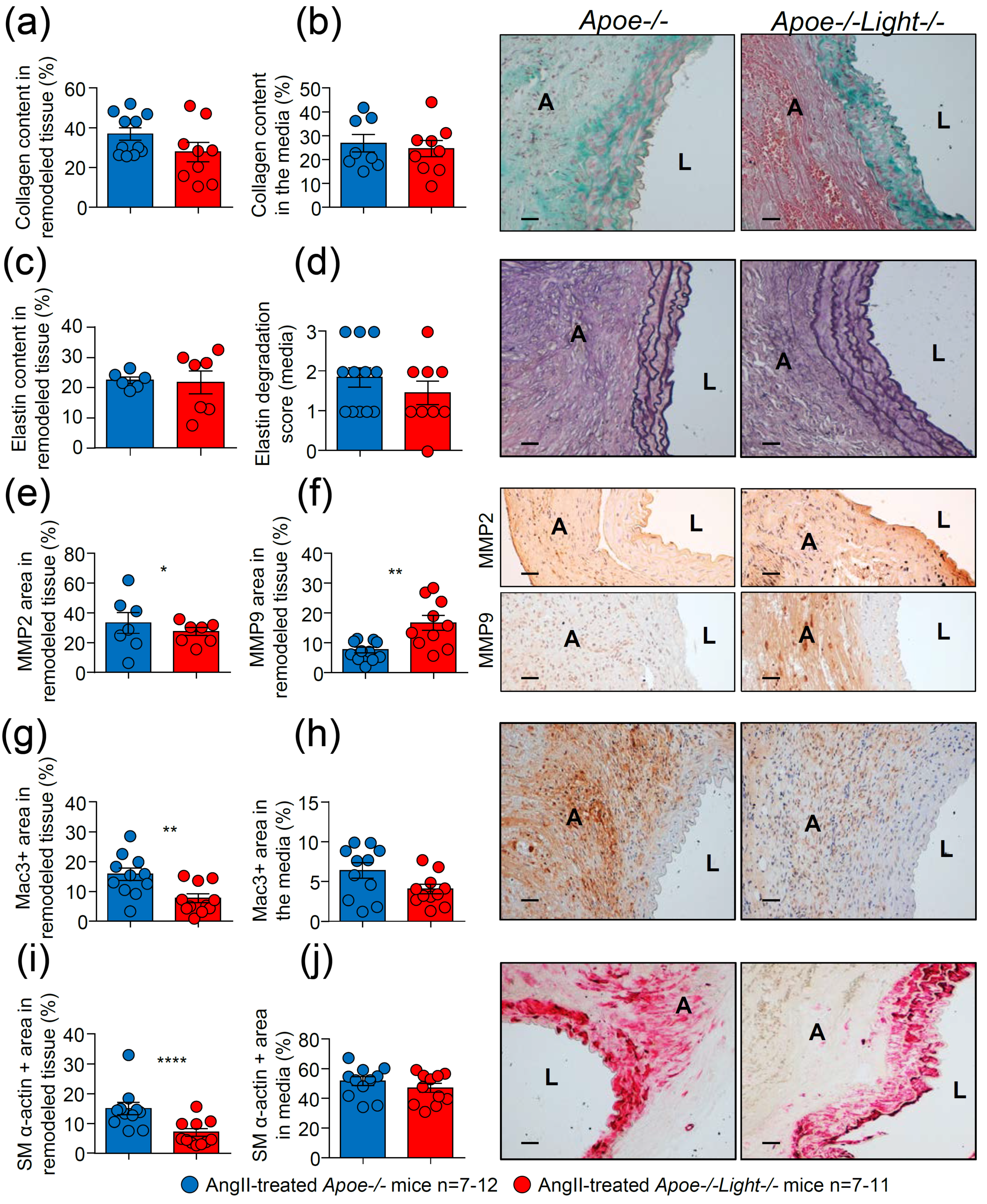 Biomedicines 09 01518 g003 Biomedicines 09 01518 g003