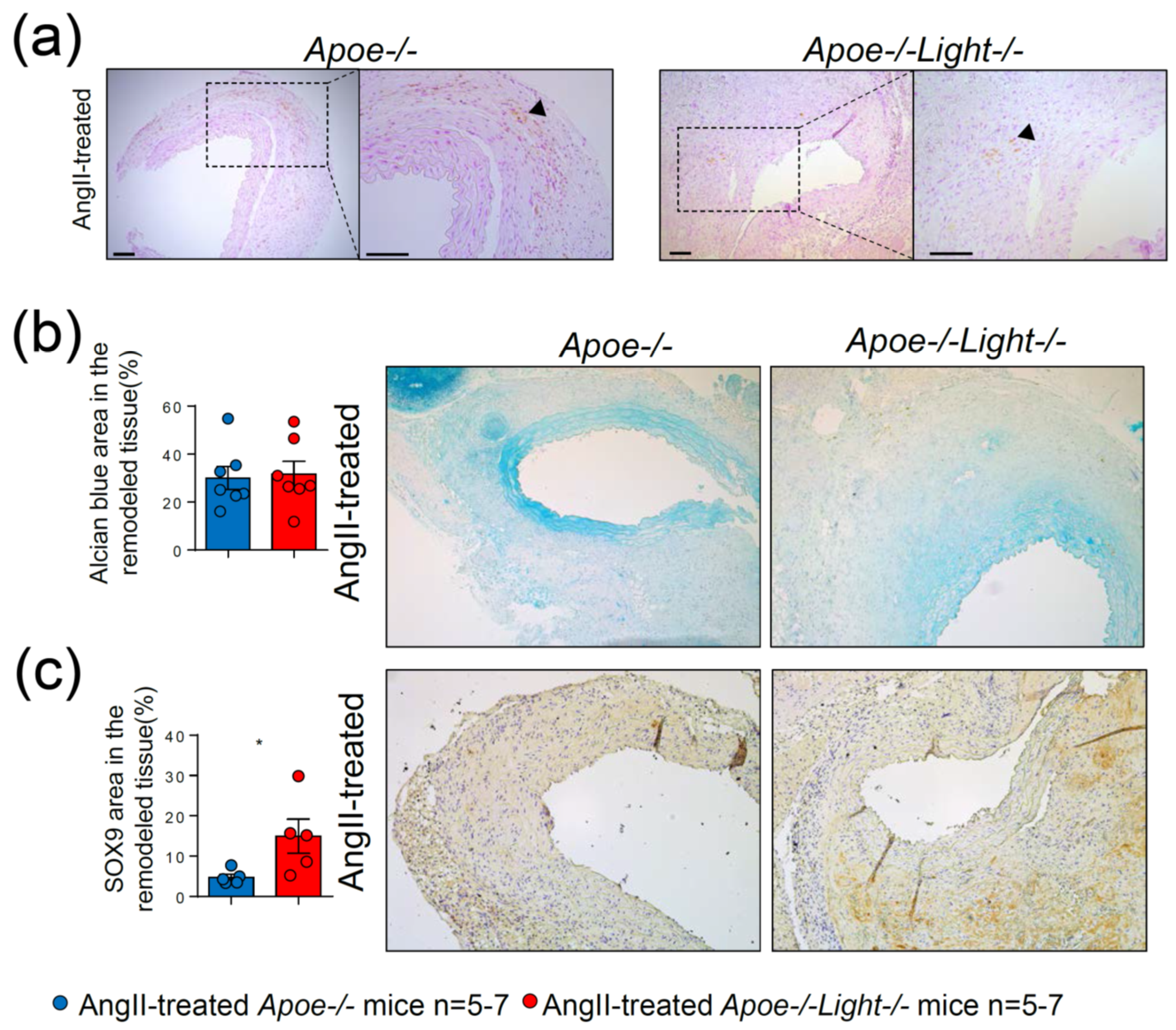Biomedicines 09 01518 g005 Biomedicines 09 01518 g005
