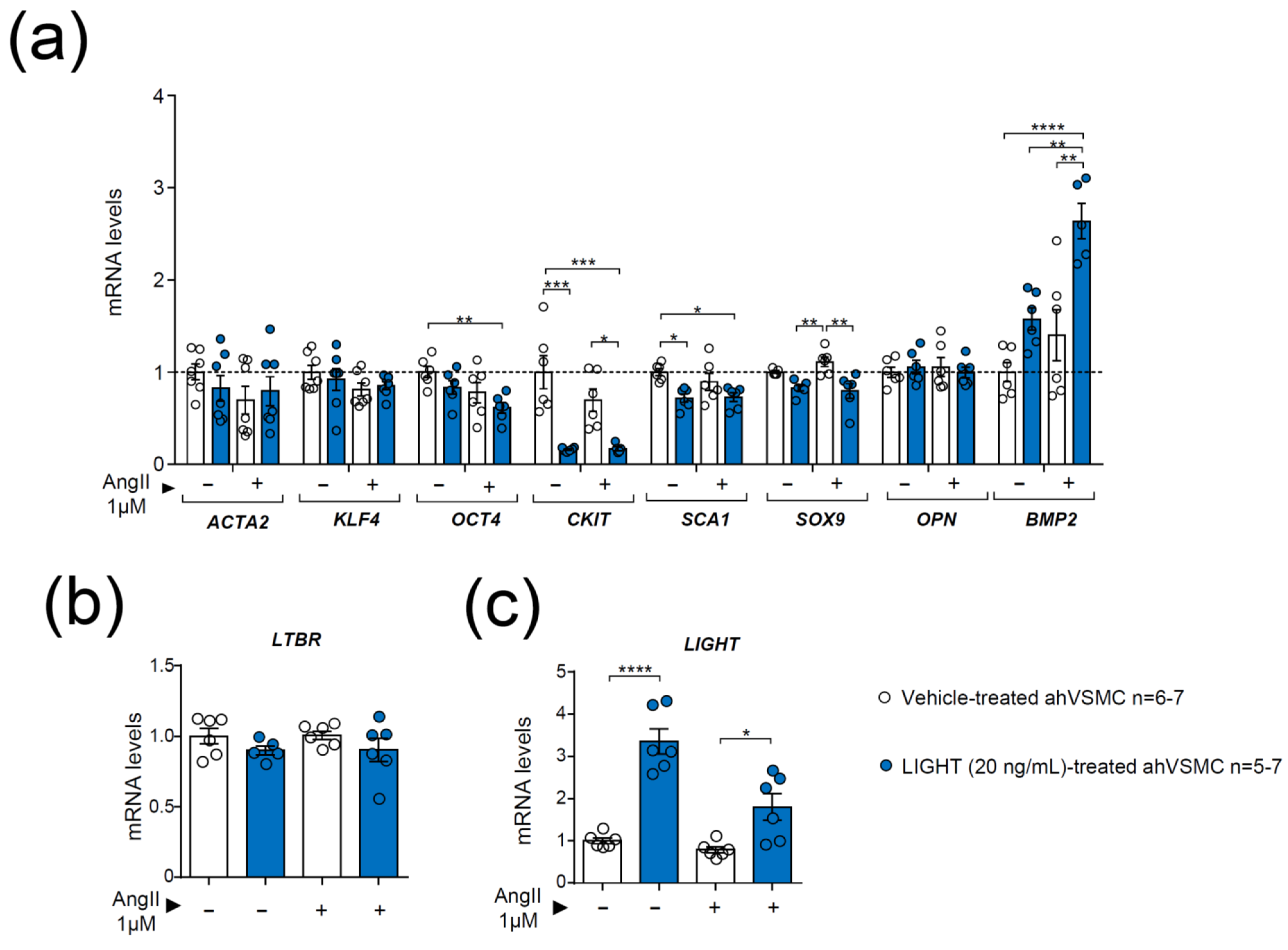 Biomedicines 09 01518 g006 Biomedicines 09 01518 g006
