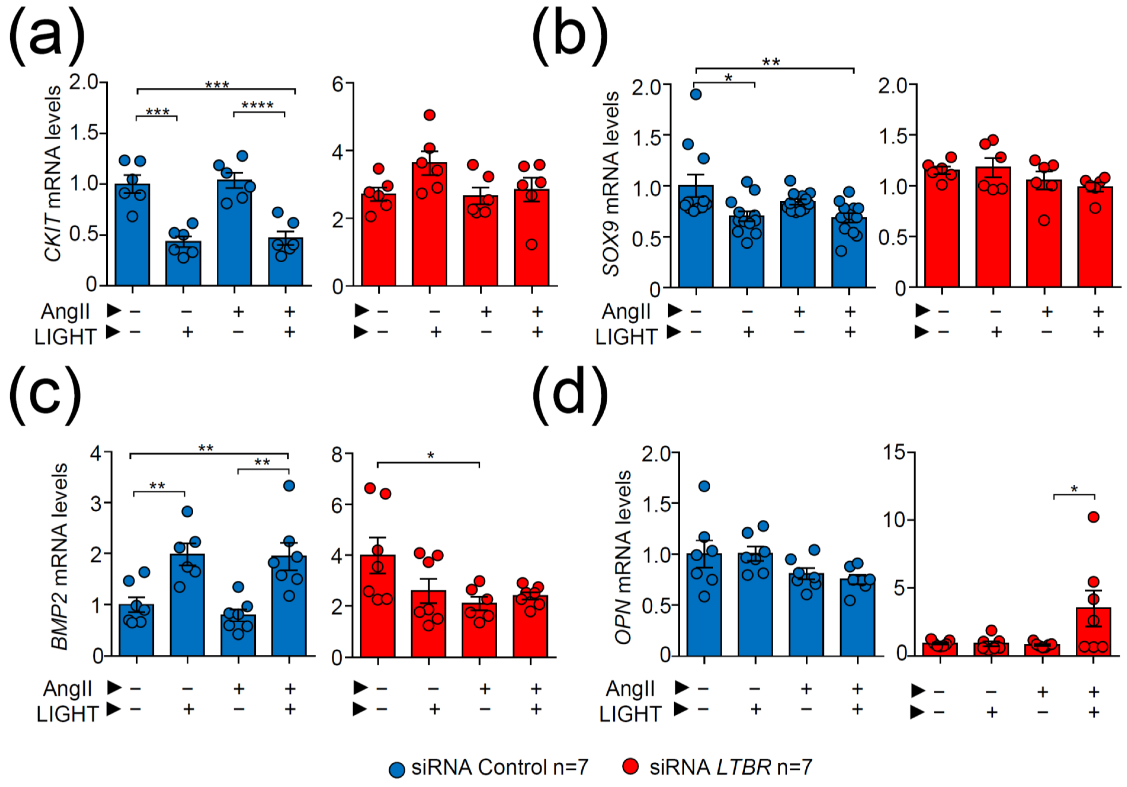 Biomedicines 09 01518 g007 Biomedicines 09 01518 g007