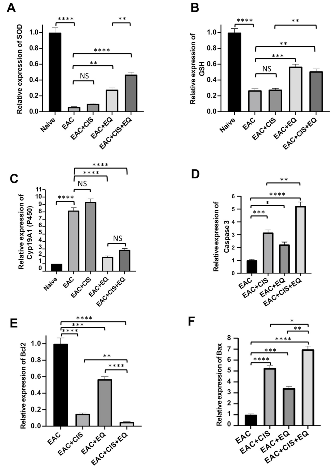 Biomedicines 09 01526 g004