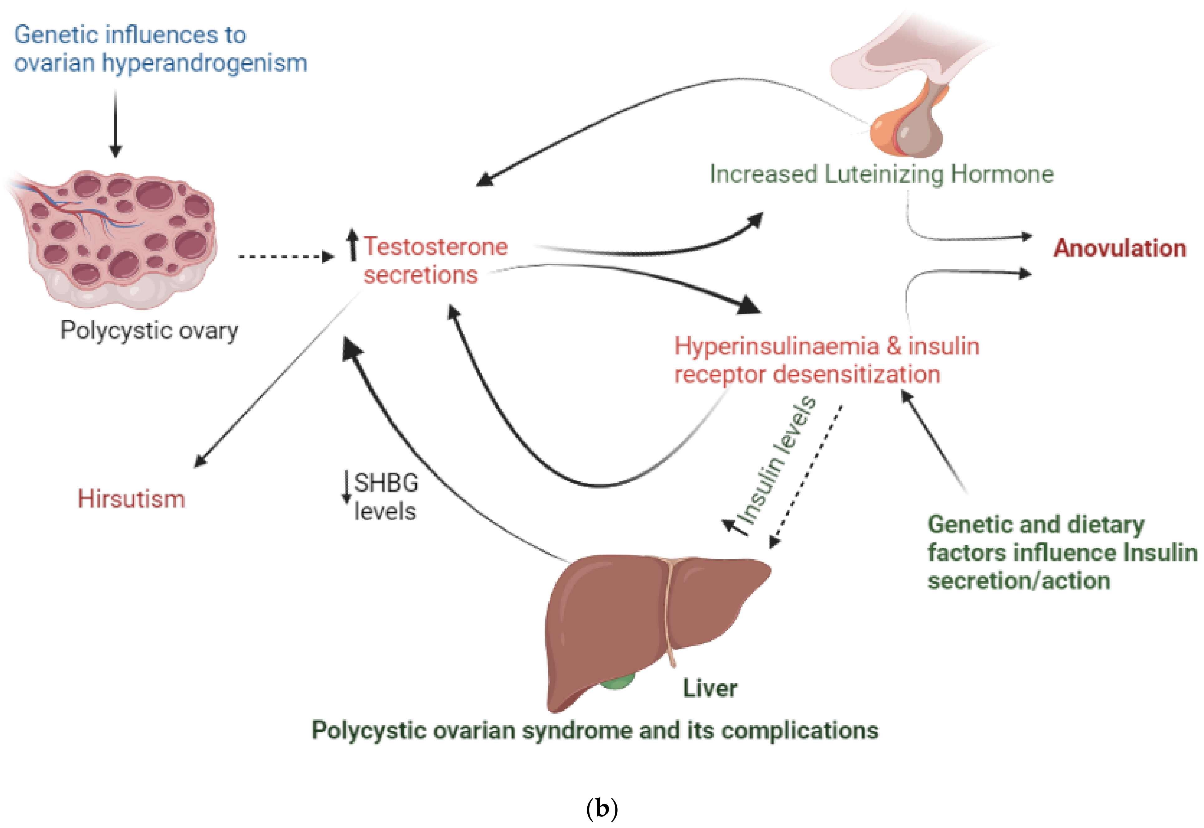 Biomedicines Free Full Text Polycystic Ovarian Syndrome A Complex