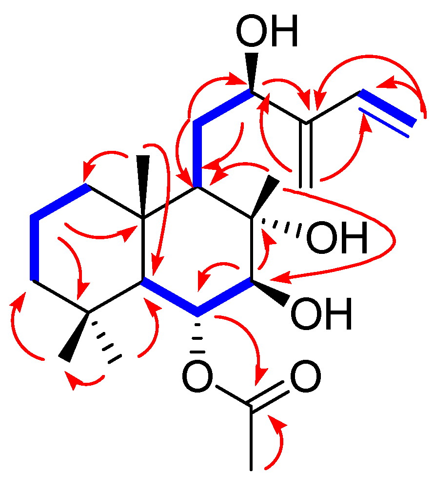 Biomedicines 10 00839 g003
