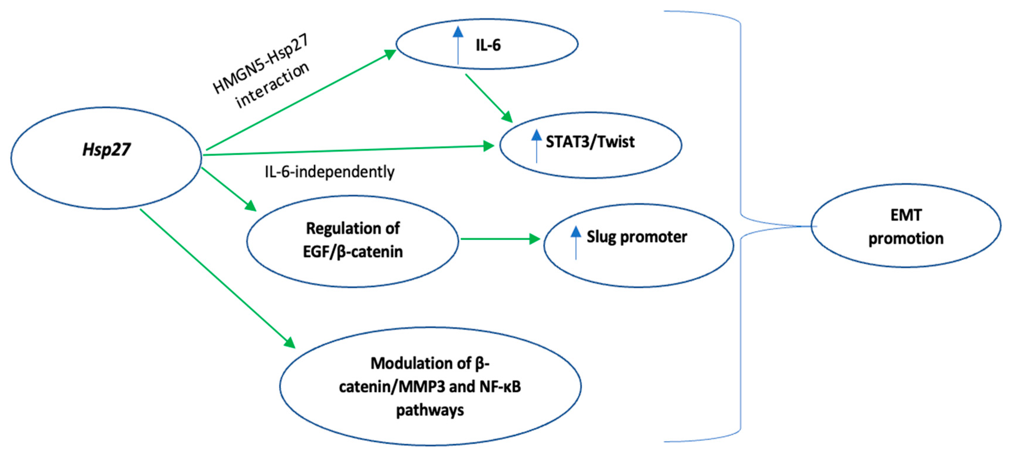 Biomedicines 10 00897 g002