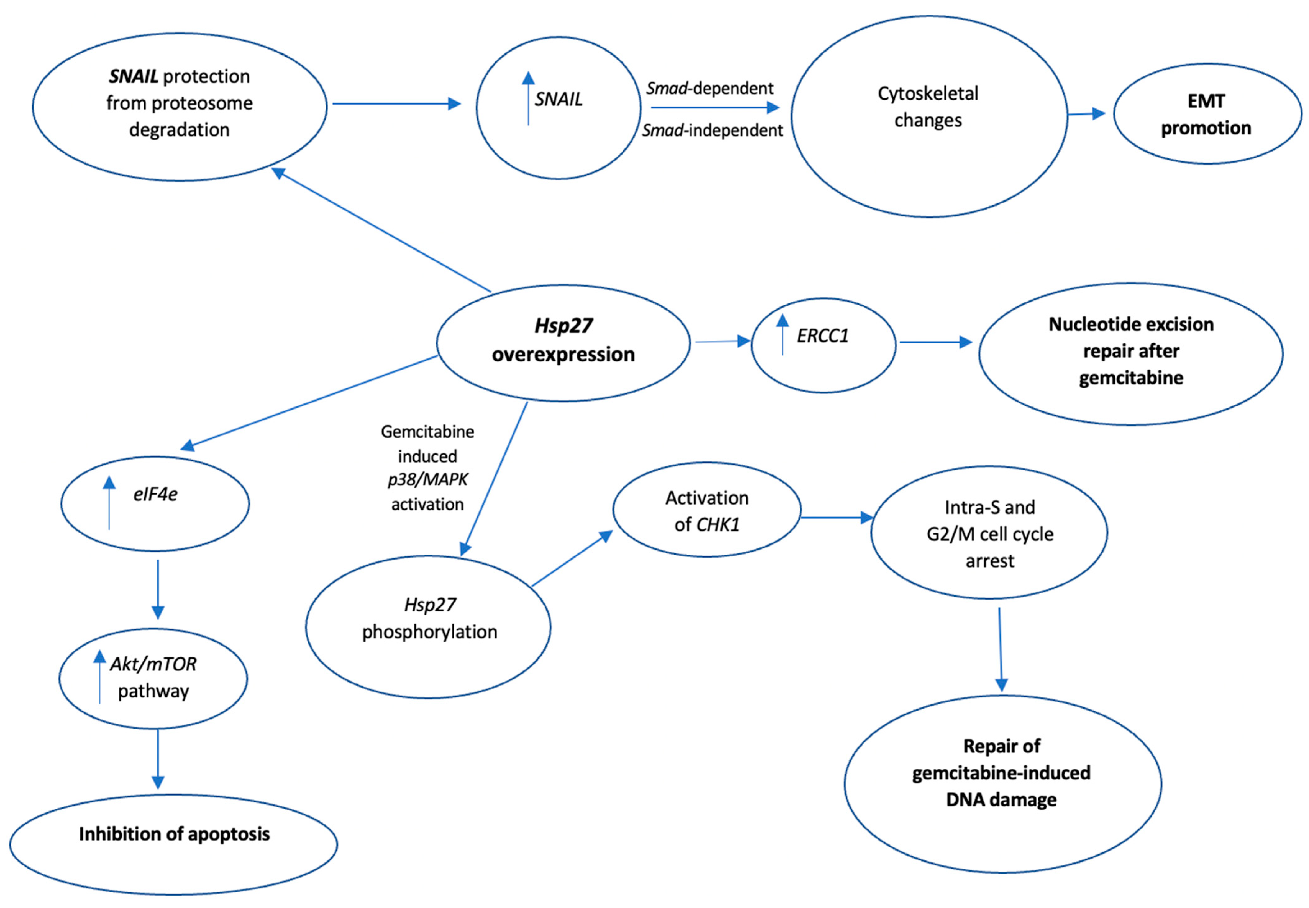 Biomedicines 10 00897 g006