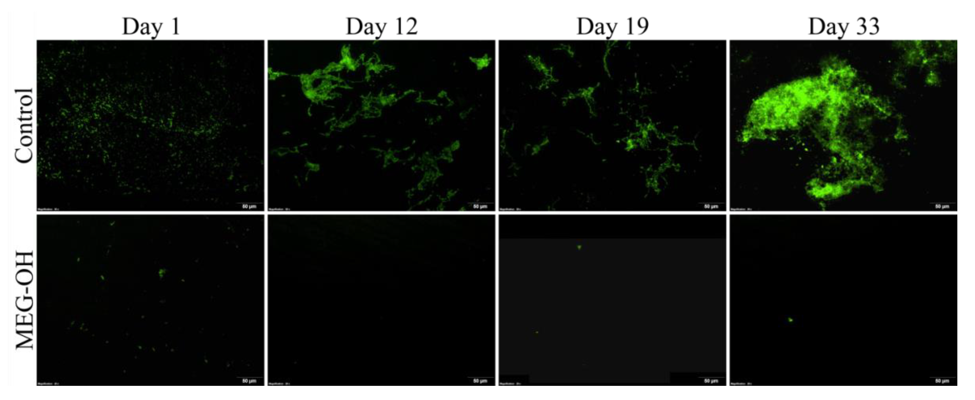 Biomedicines 10 00979 g005