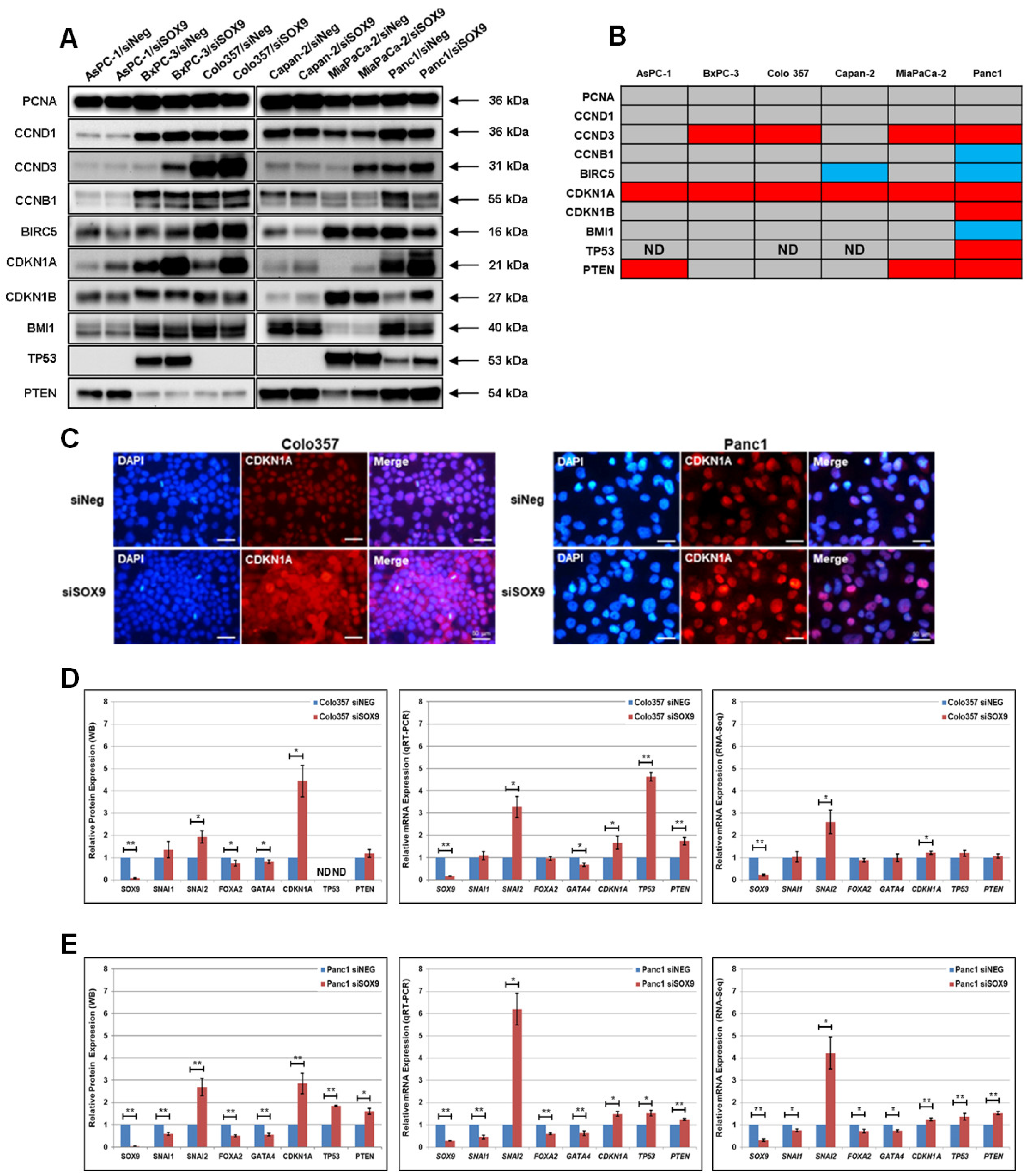Biomedicines 10 01466 g003