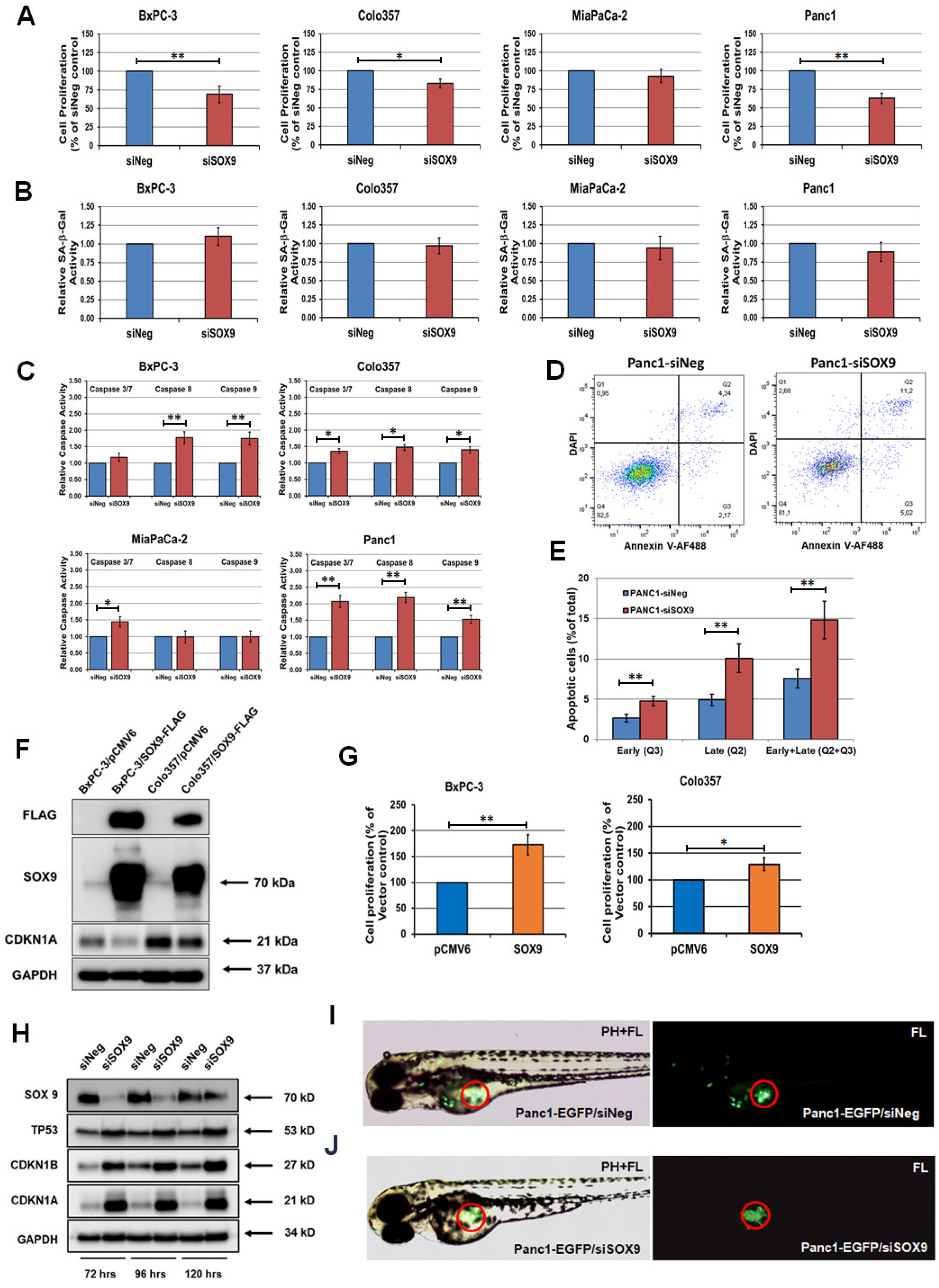 Biomedicines 10 01466 g004