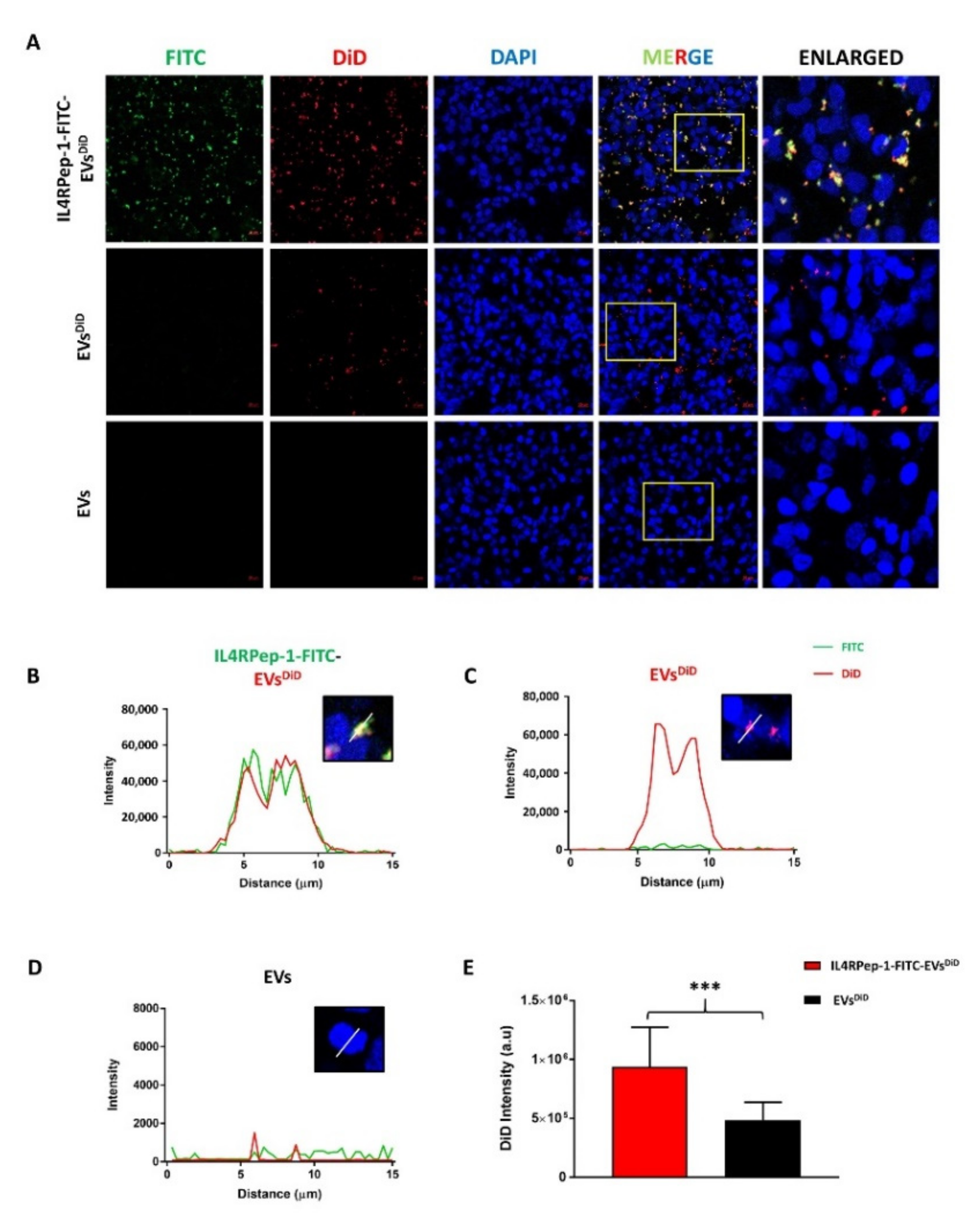 Biomedicines 10 01978 g005