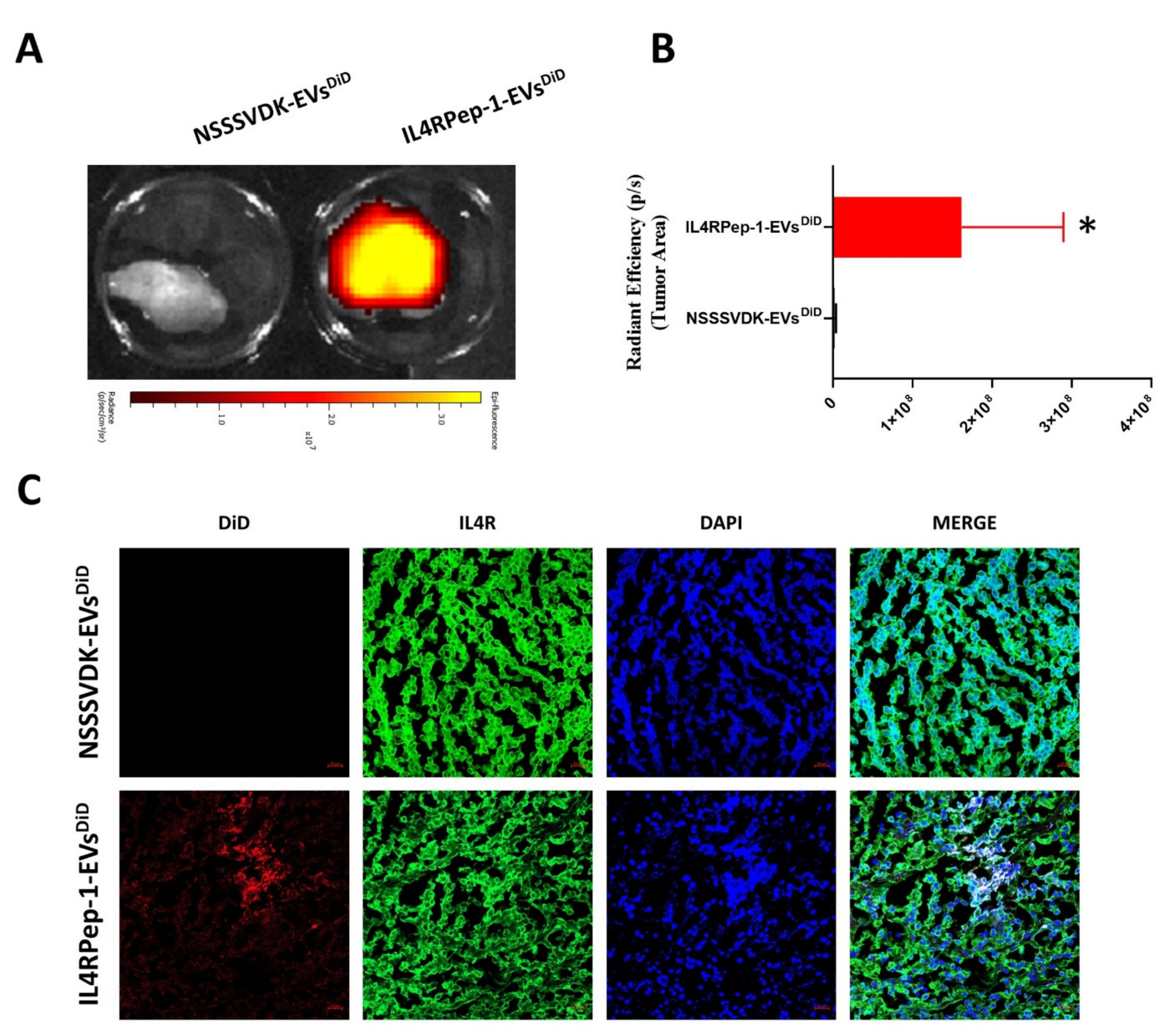 Biomedicines 10 01978 g007