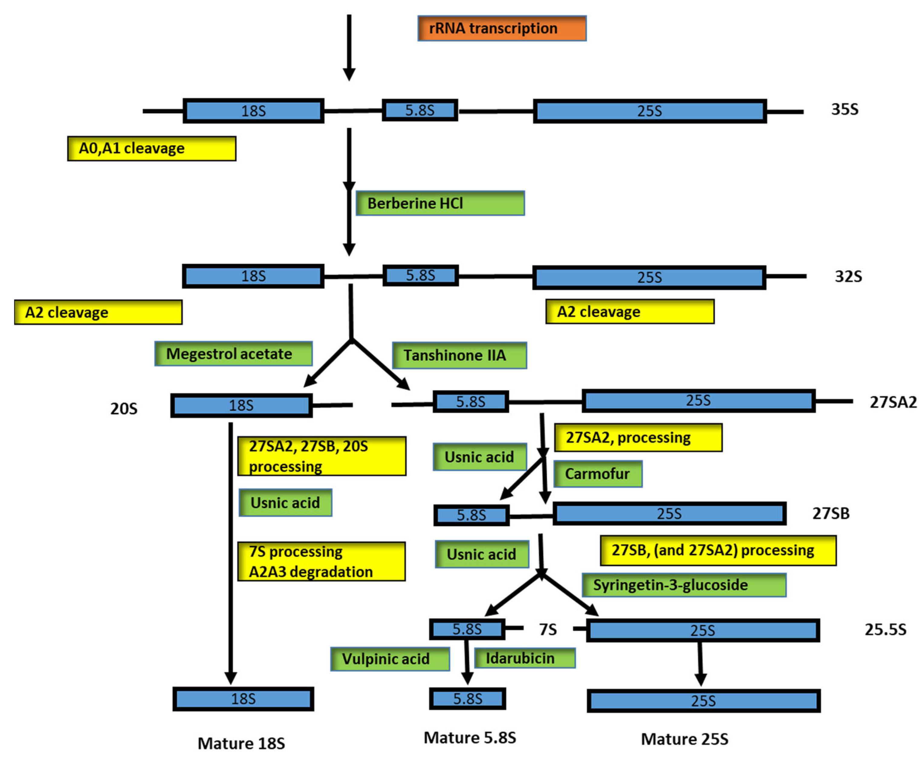 Biomedicines 10 02088 g002