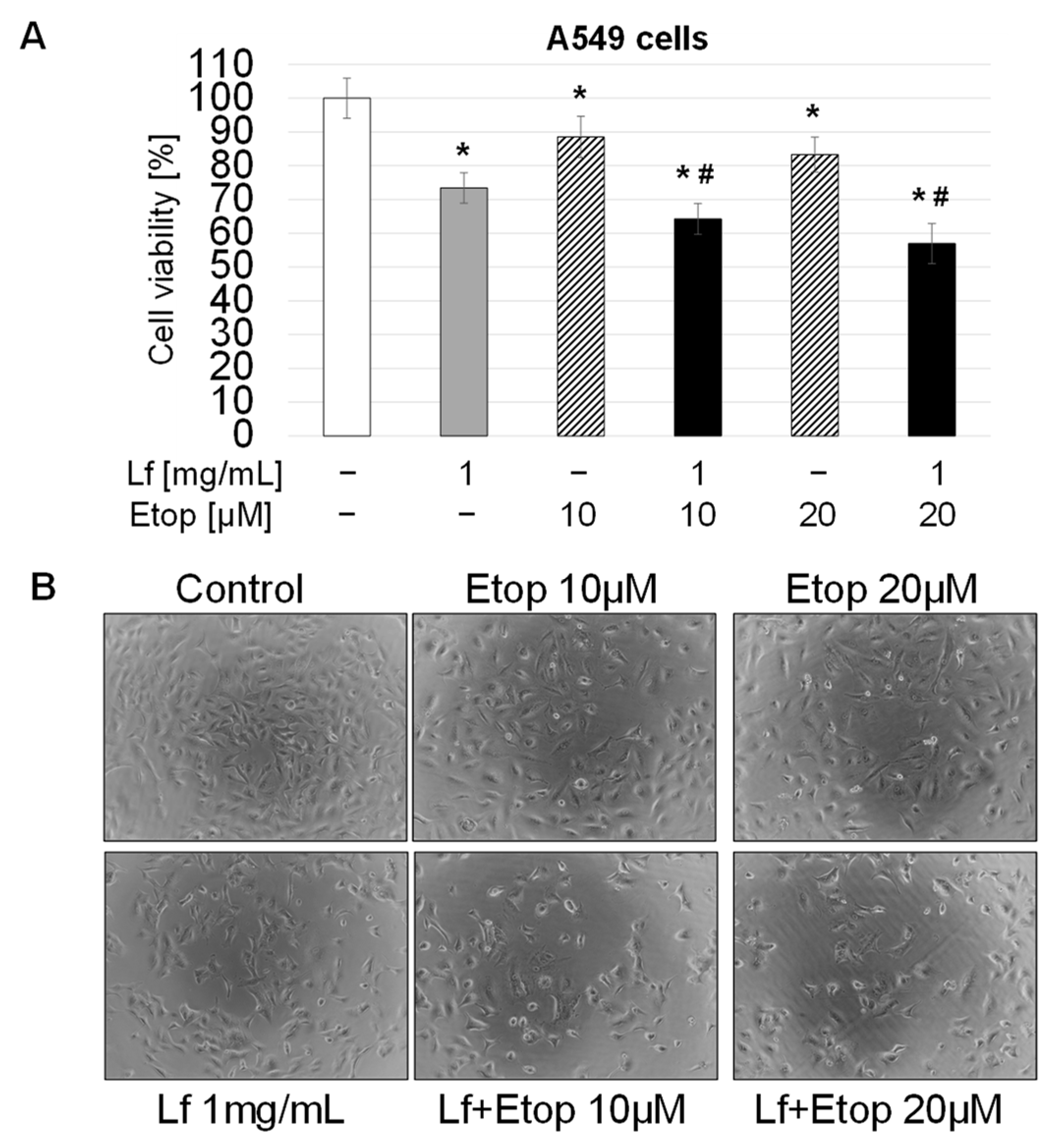 Biomedicines 10 02429 g002