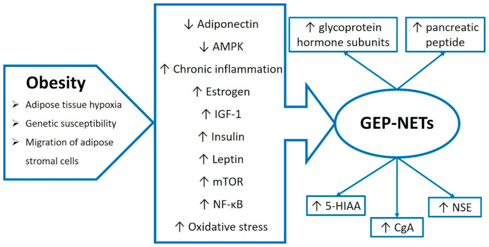 Biomedicines 10 02660 g002