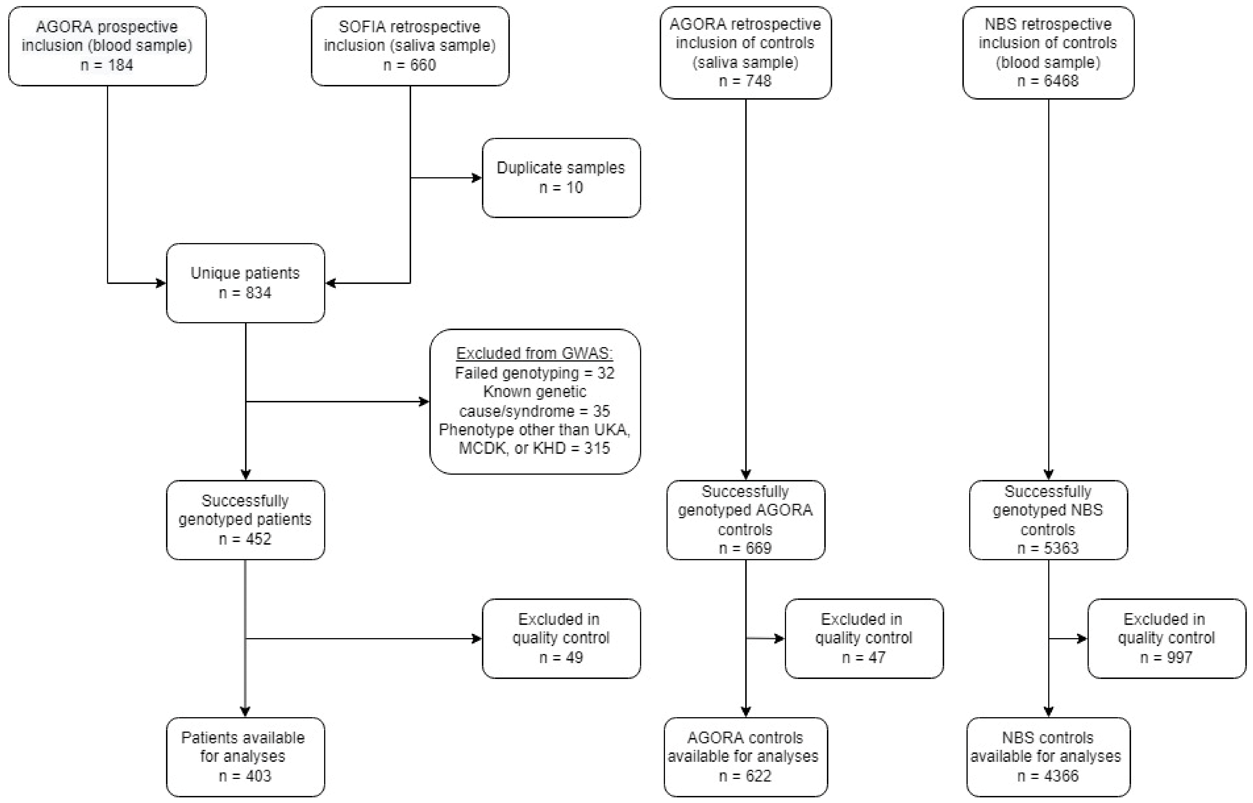 Biomedicines 10 03023 g001