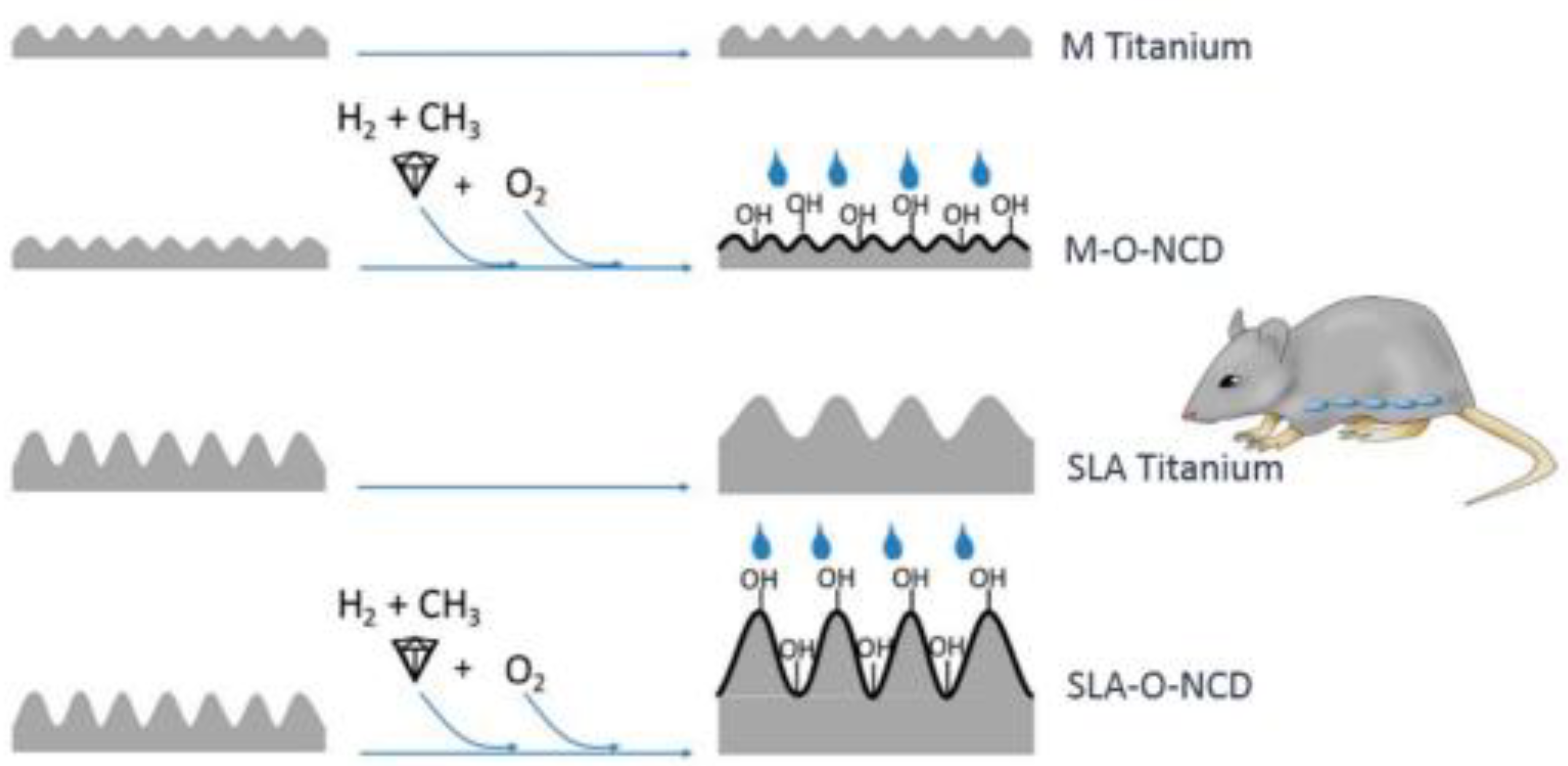 Biomedicines 10 03149 g006