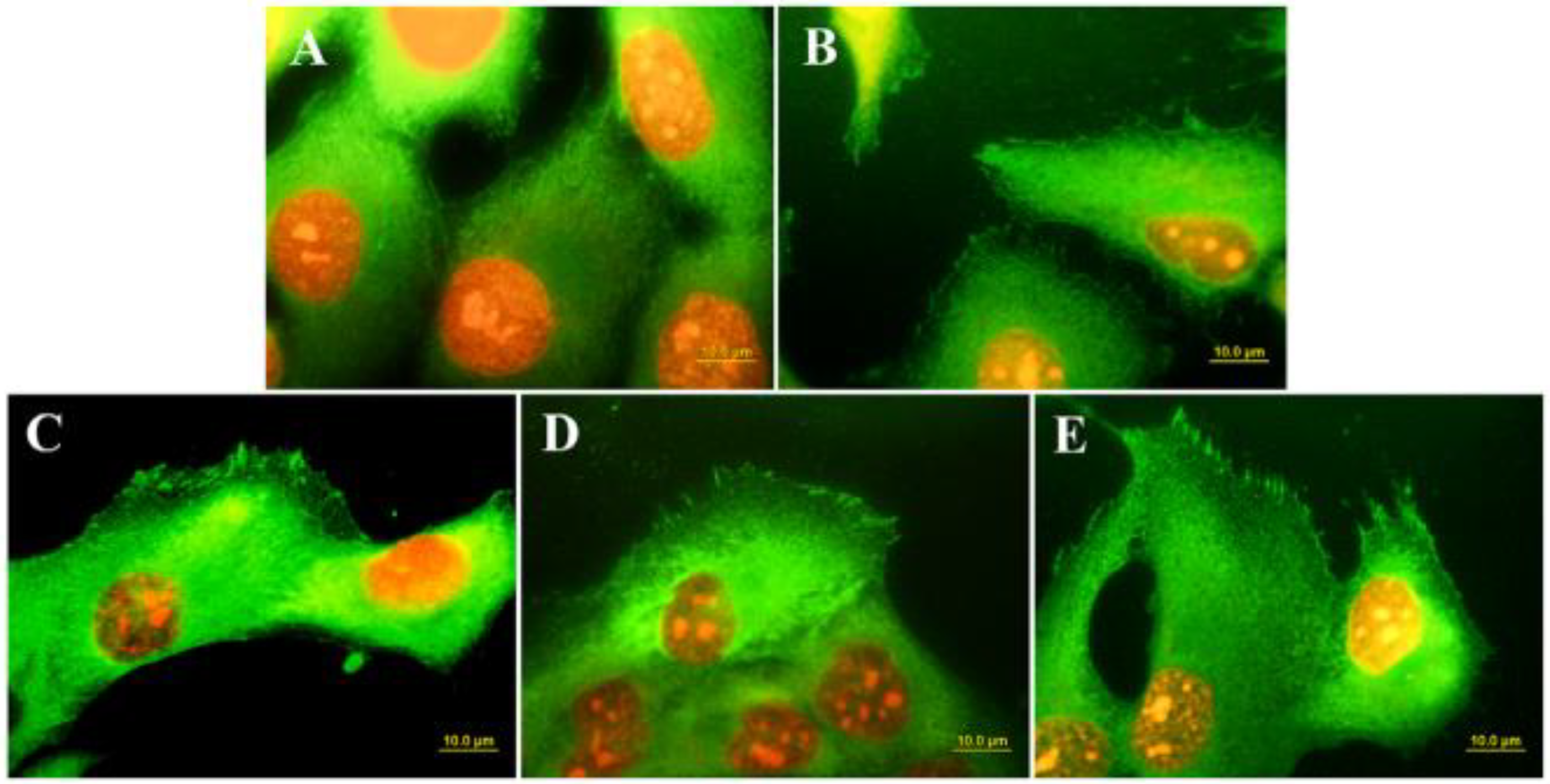 Biomedicines 10 03149 g007