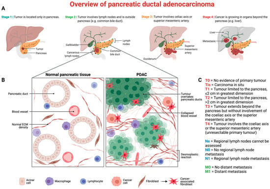 Biomedicines Free Full Text Where Do We Stand With Immunotherapy