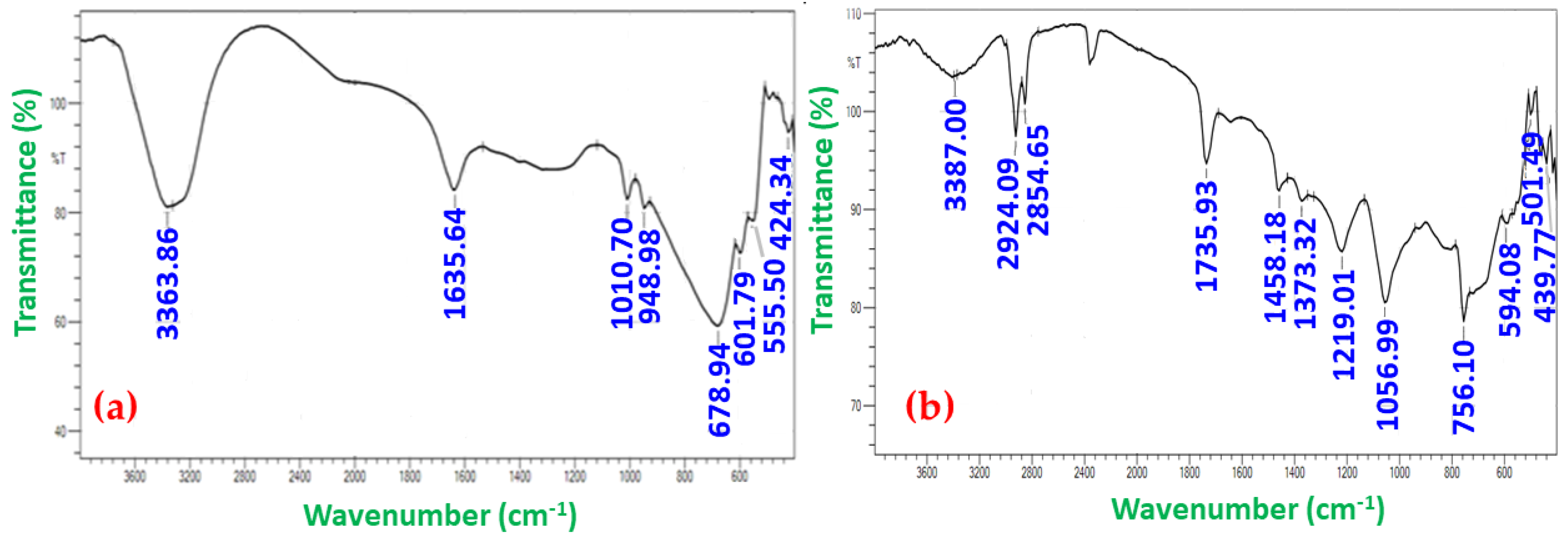 Biomedicines 11 00217 g005