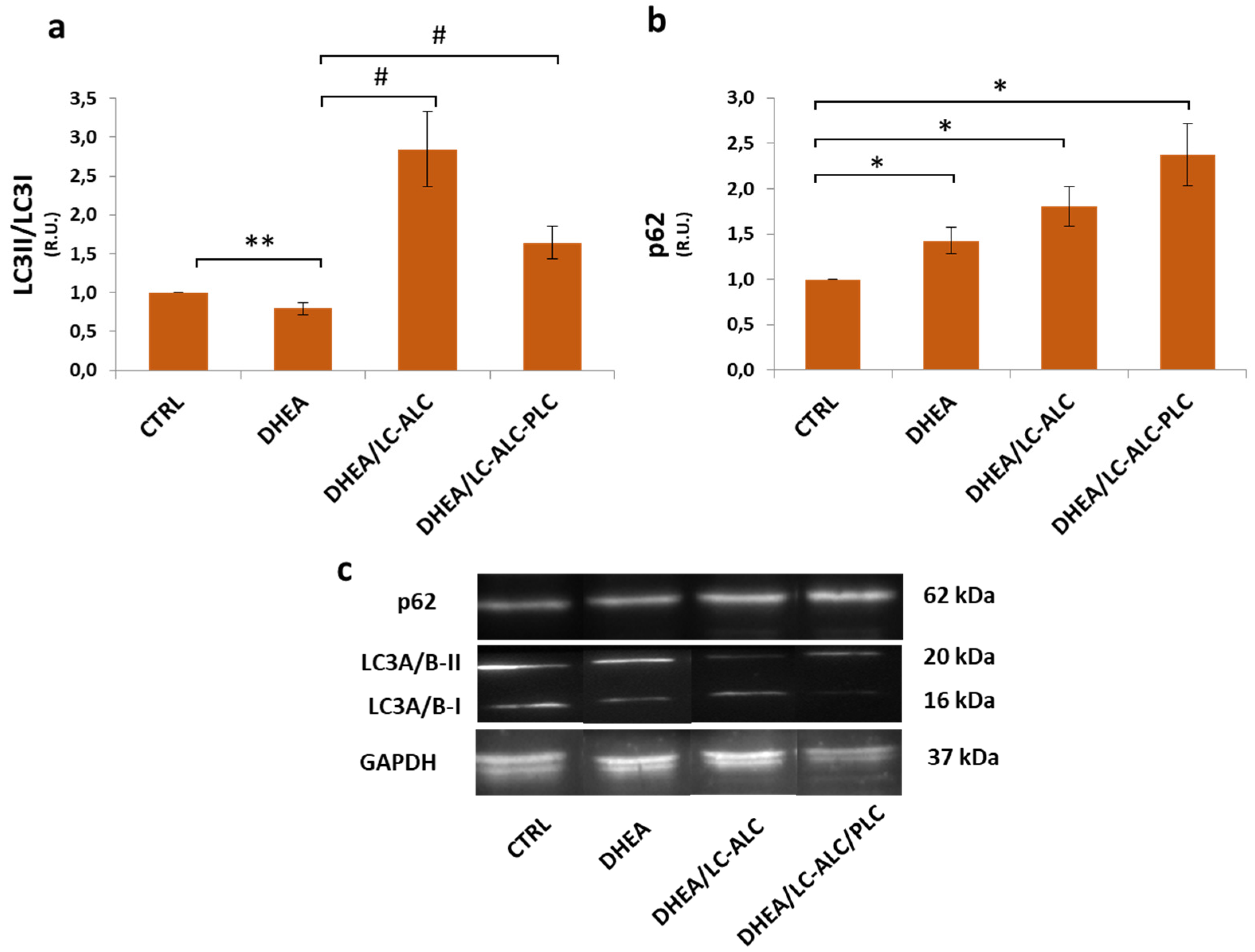 Biomedicines 11 00374 g005