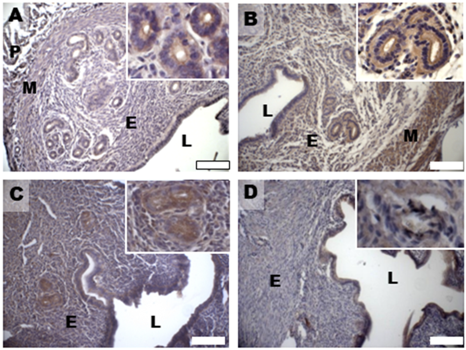 Biomedicines 11 00374 g006