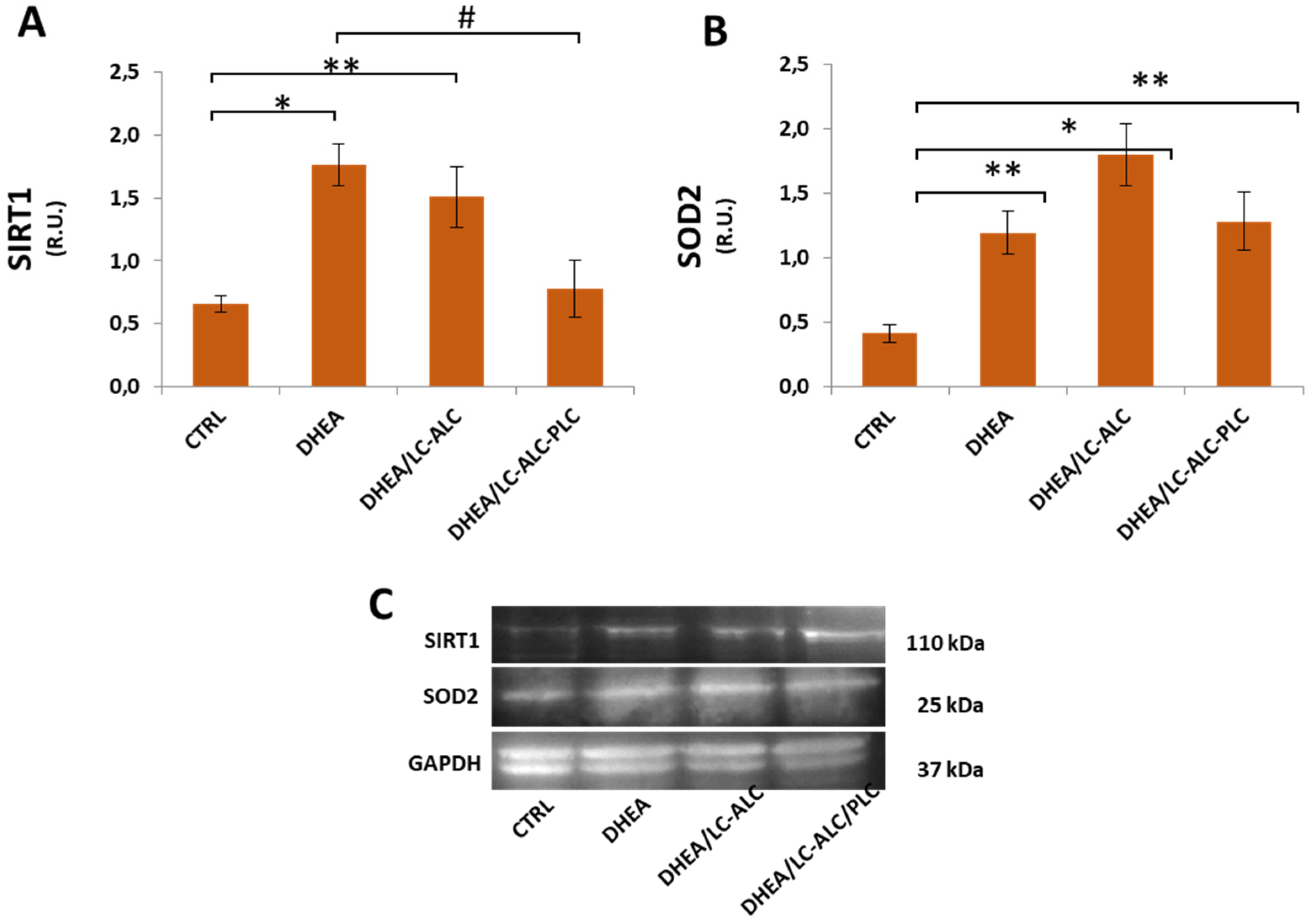 Biomedicines 11 00374 g008