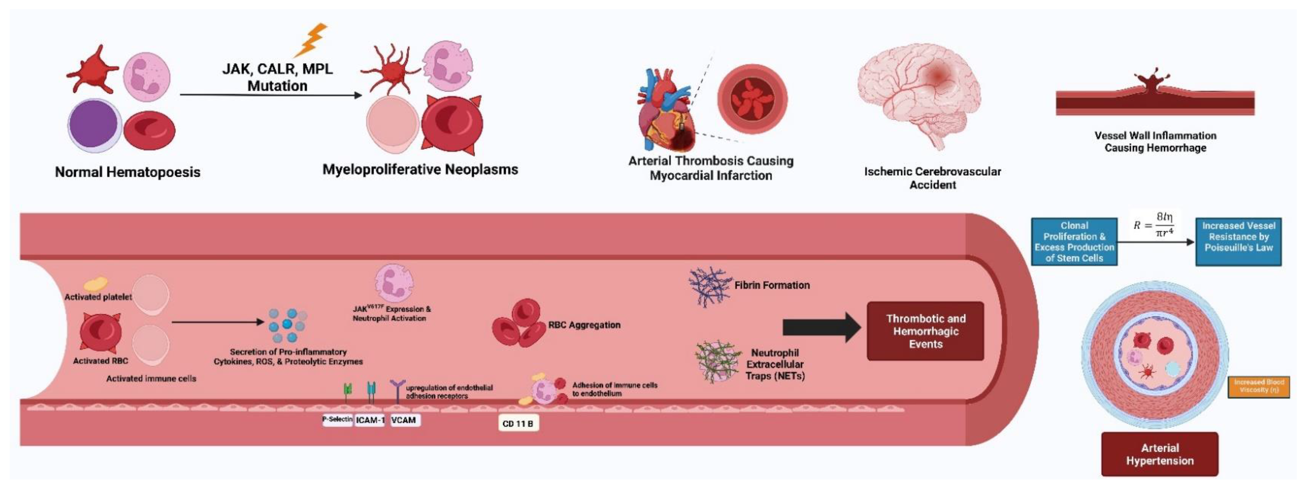 Biomedicines 11 00388 g002