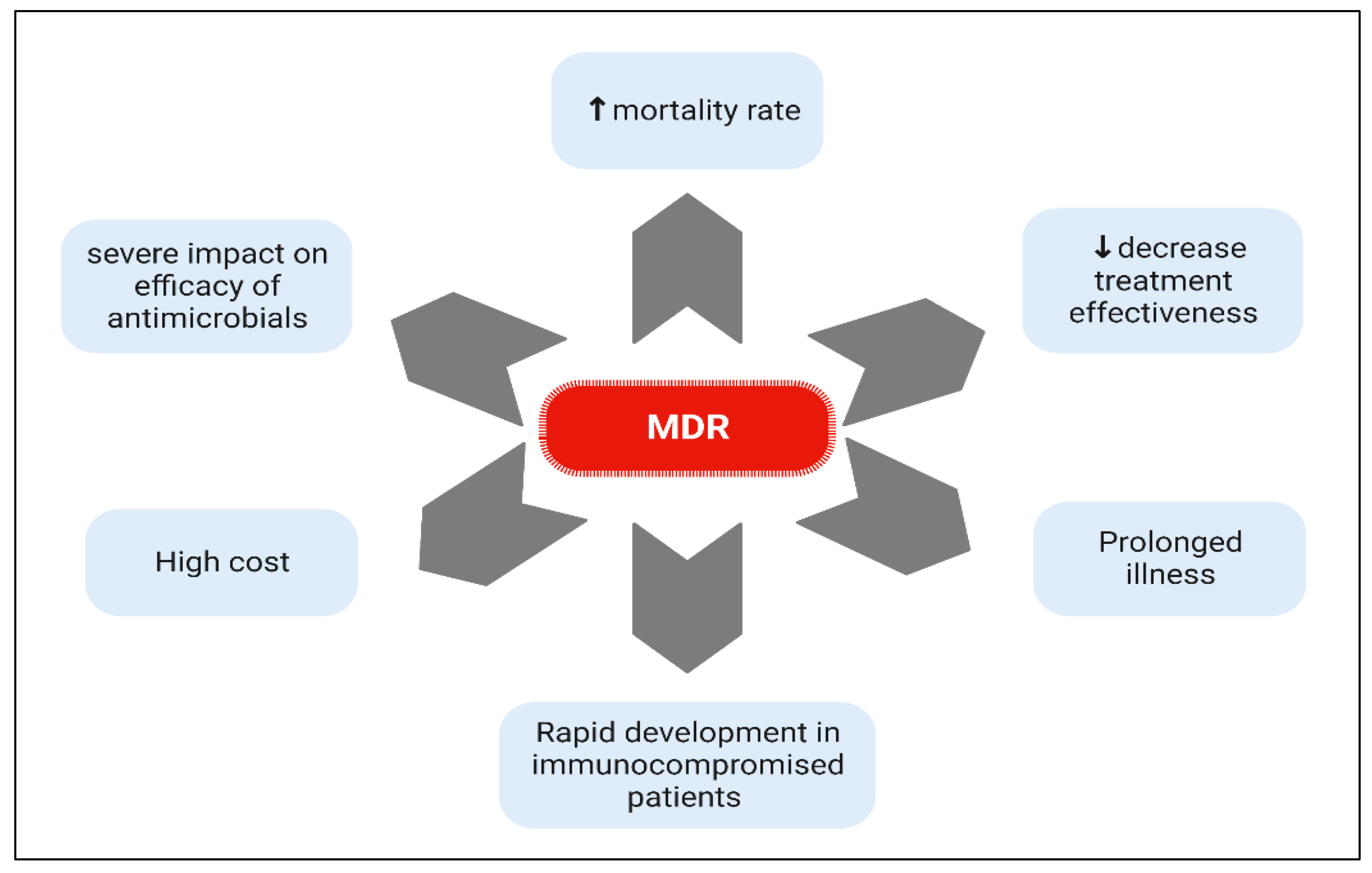 Biomedicines 11 00413 g003