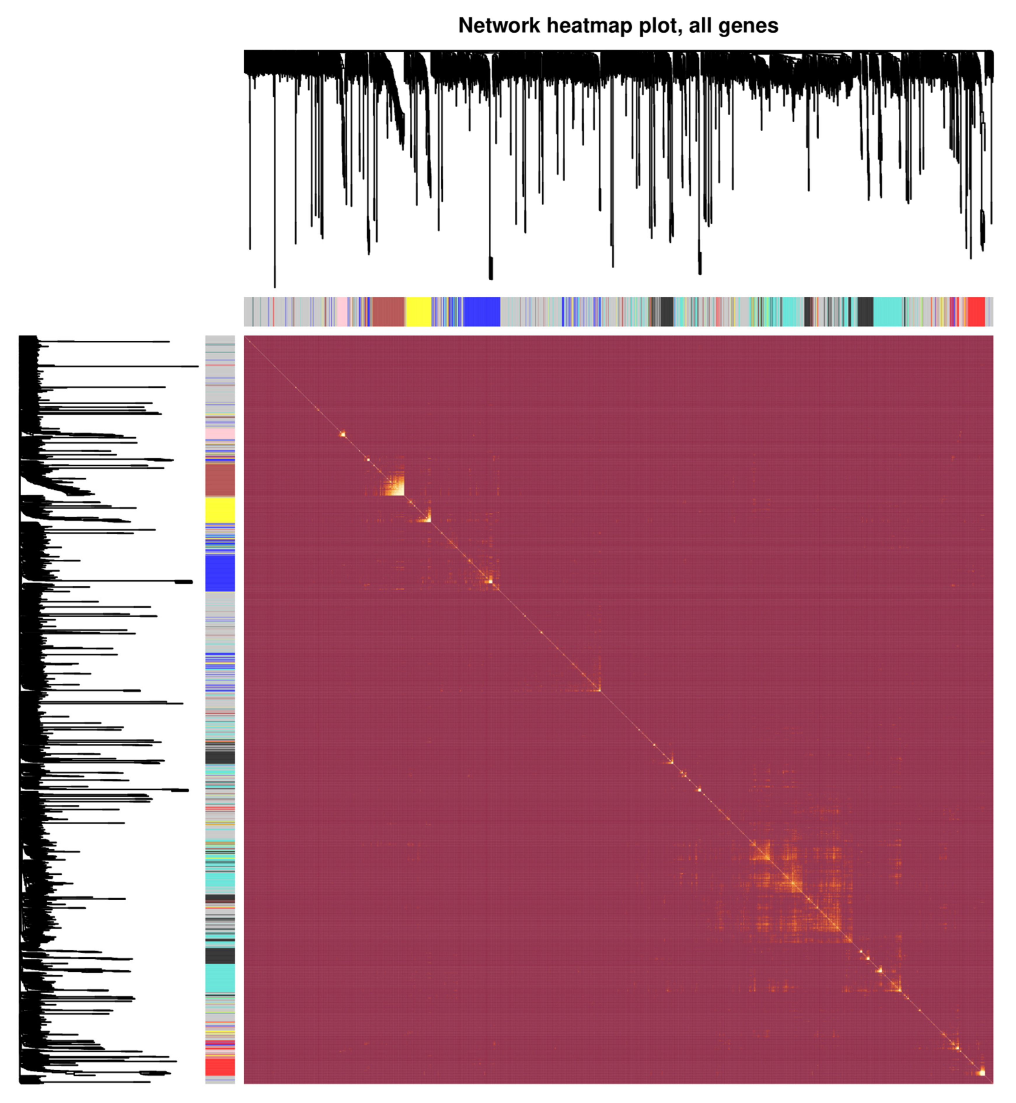 Biomedicines 11 00518 g003