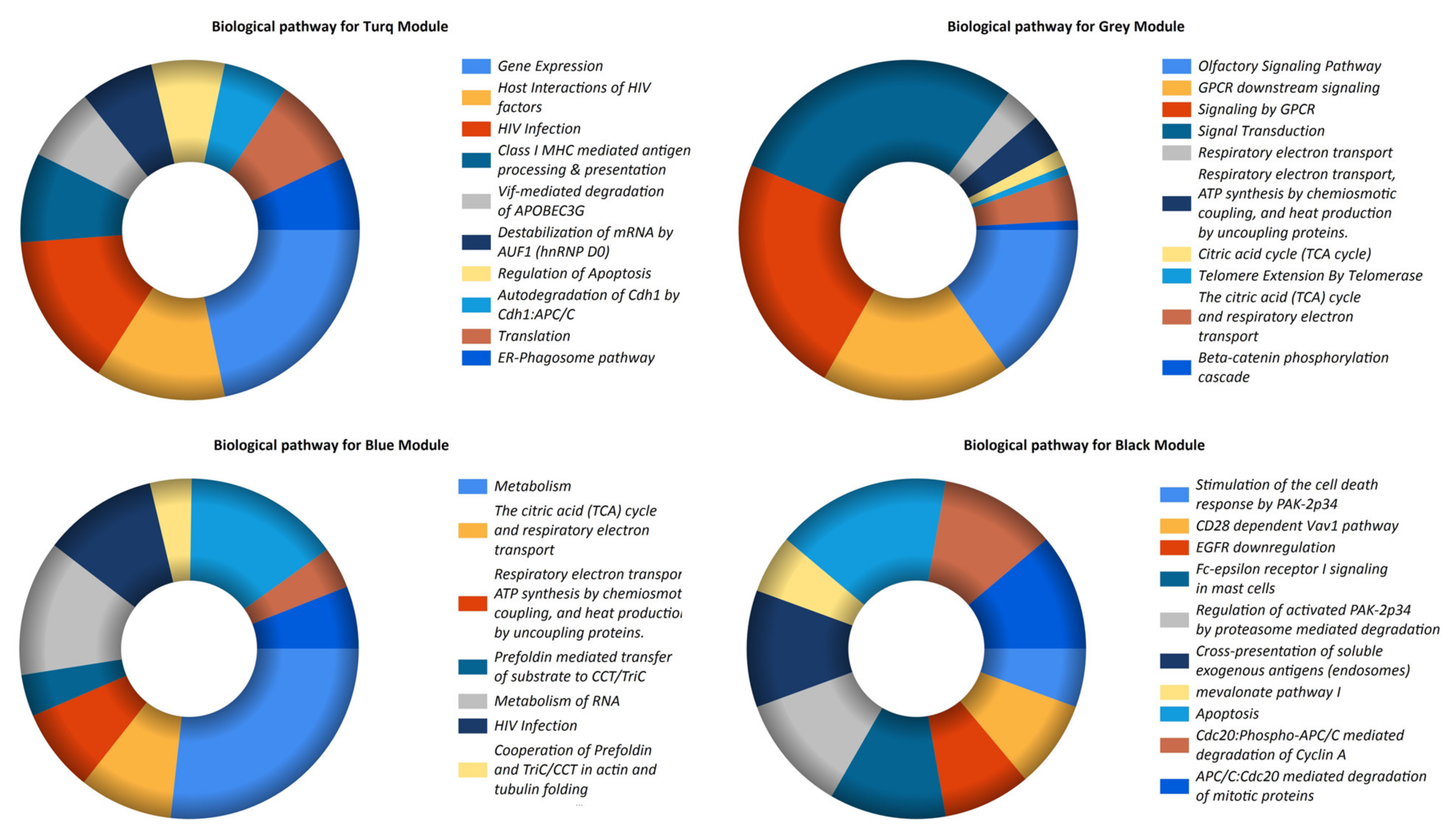 Biomedicines 11 00518 g004