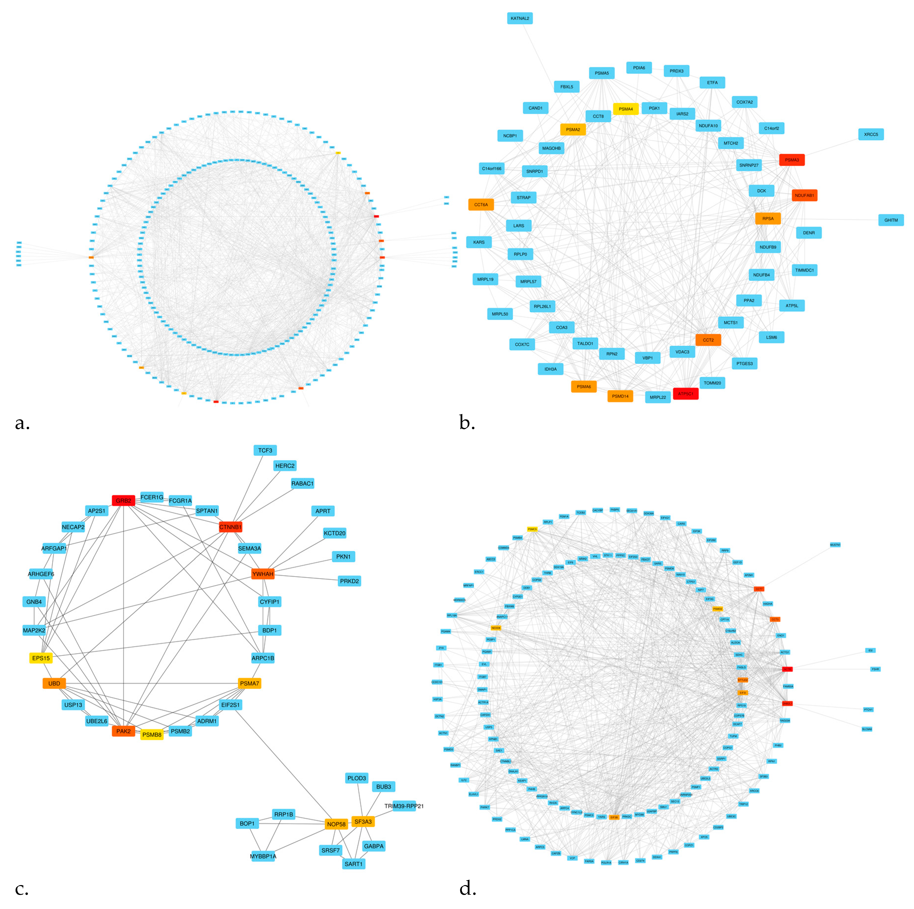Biomedicines 11 00518 g005