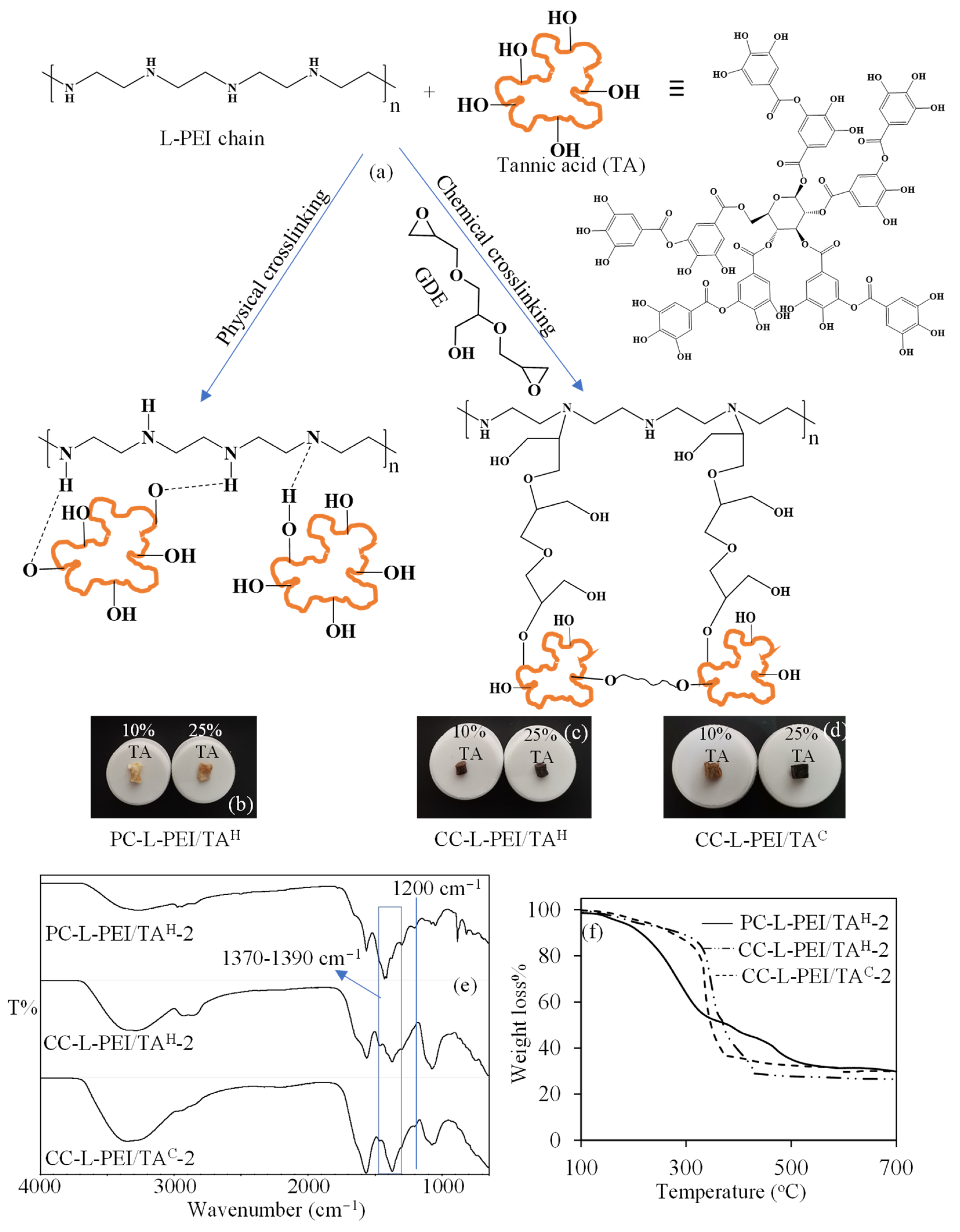 Biomedicines 11 00706 g003