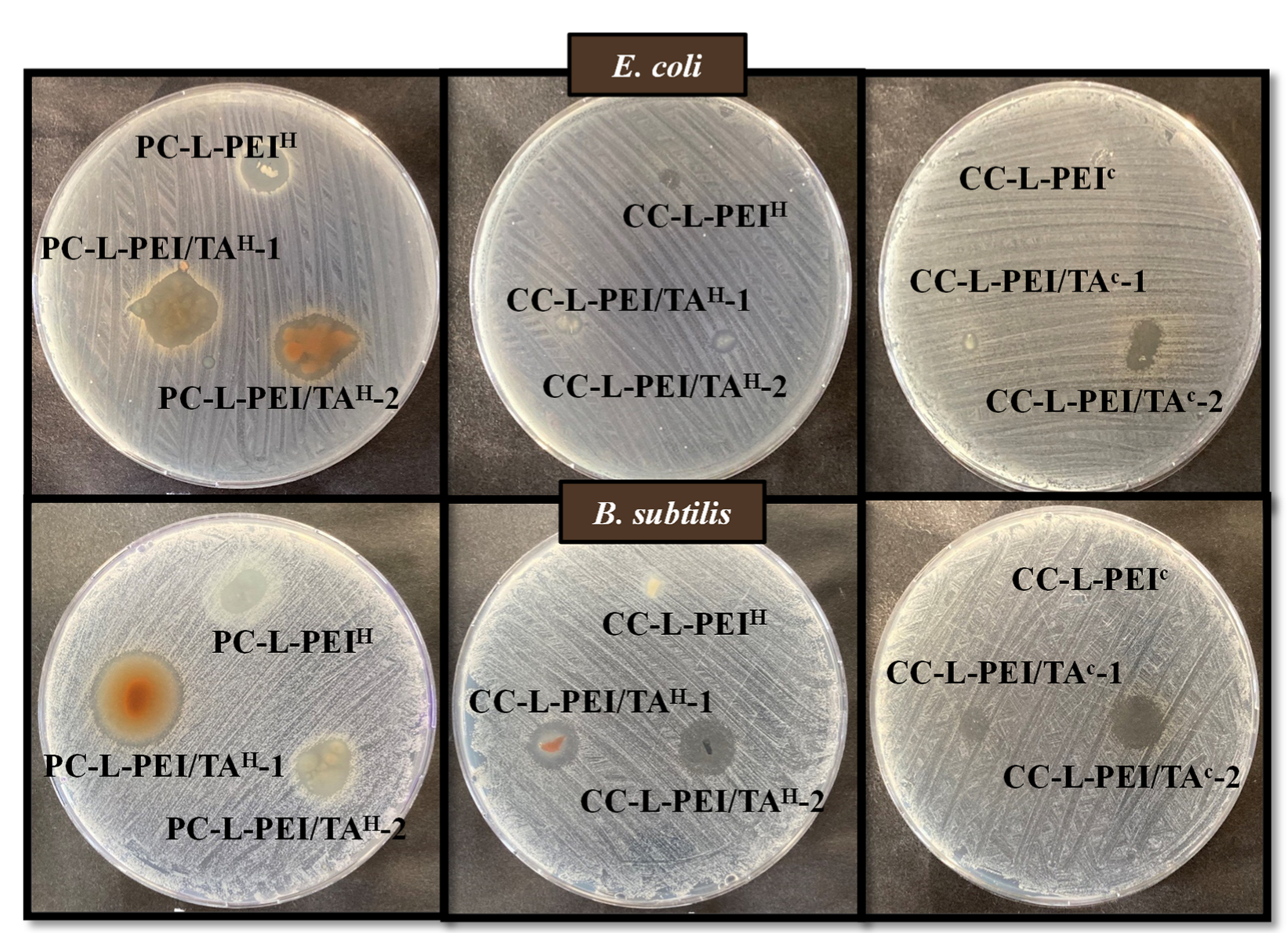 Biomedicines 11 00706 g006