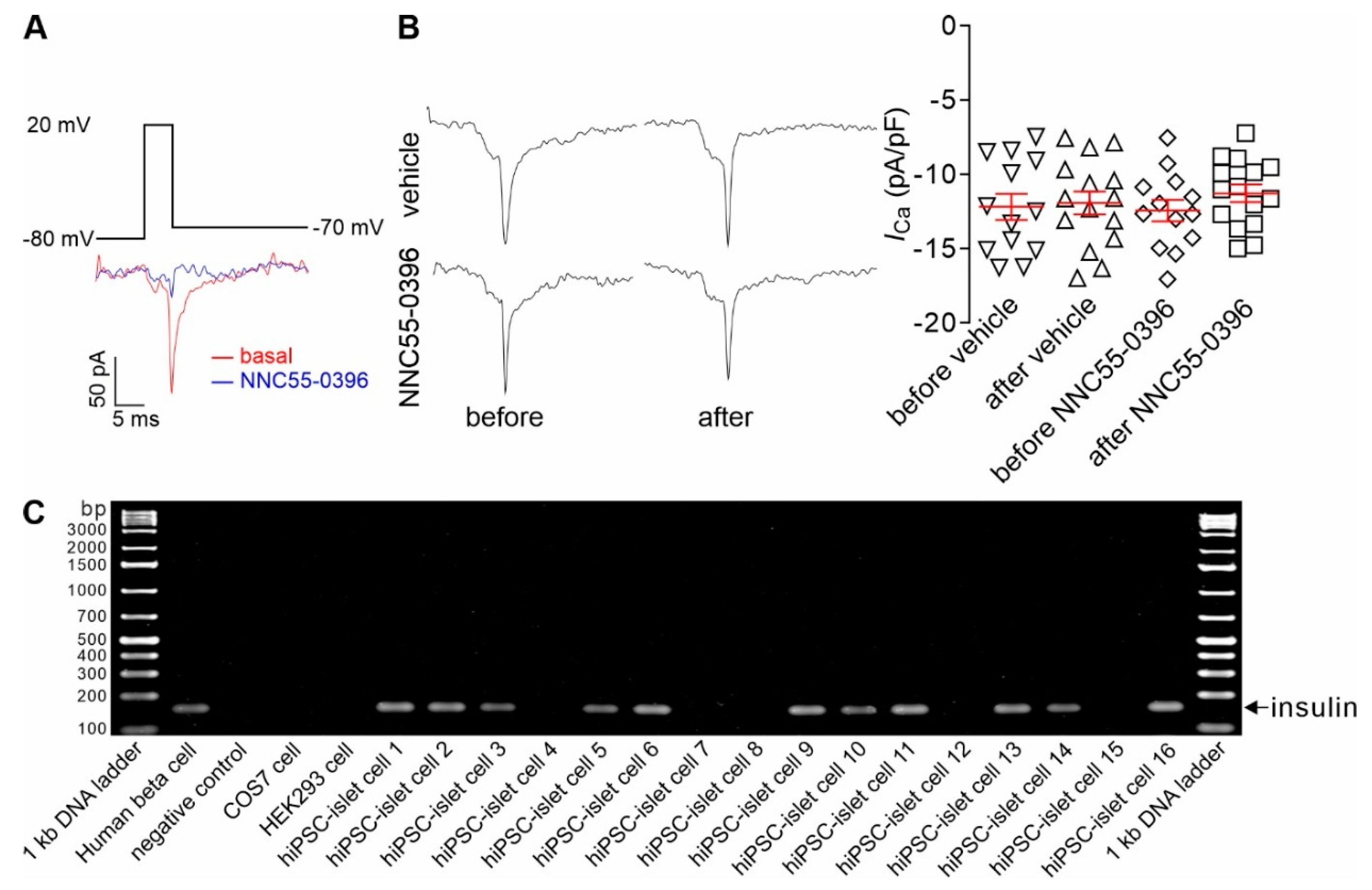Biomedicines 11 00807 g003