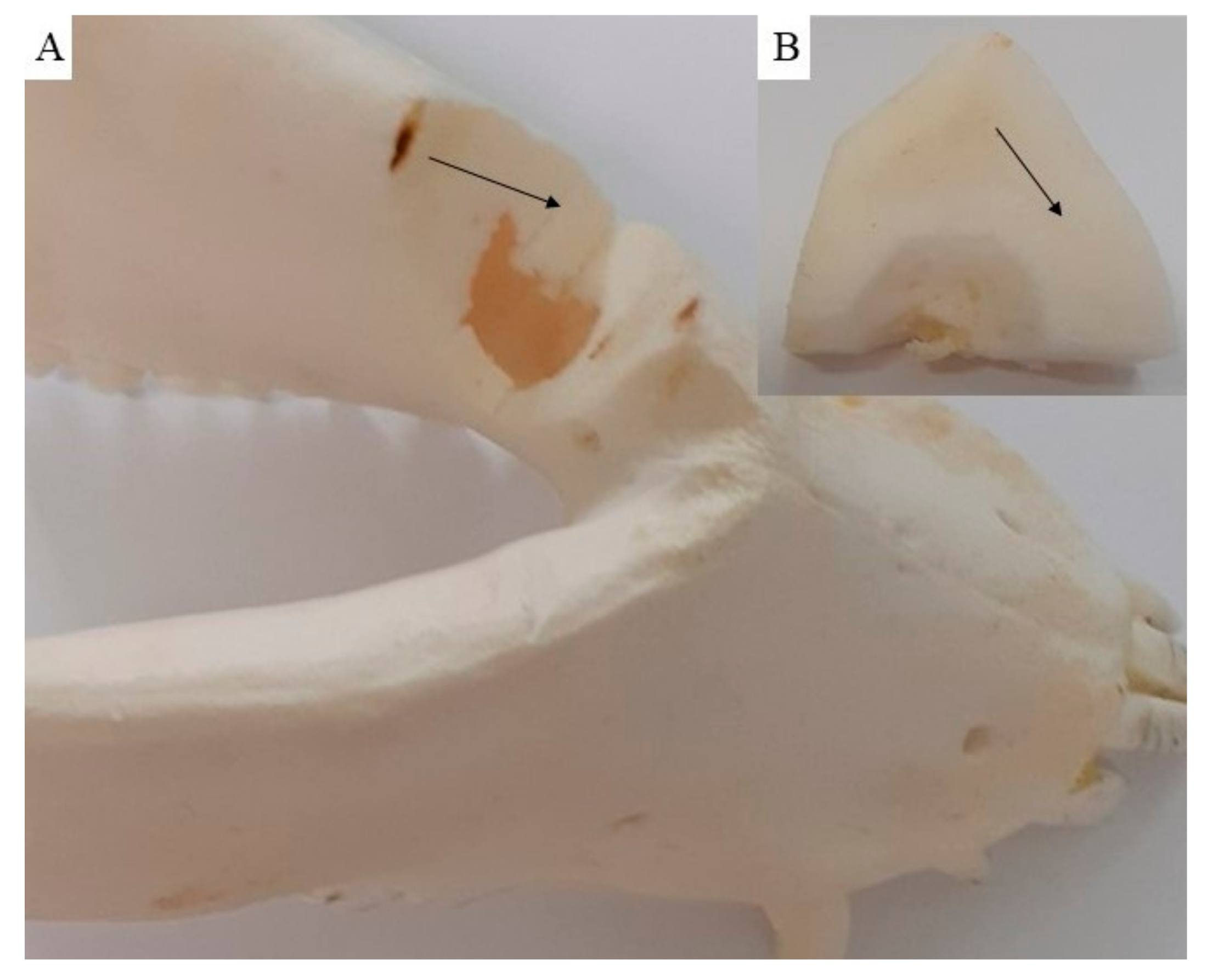 Biomedicines 11 00877 g008 Biomedicines 11 00877 g008