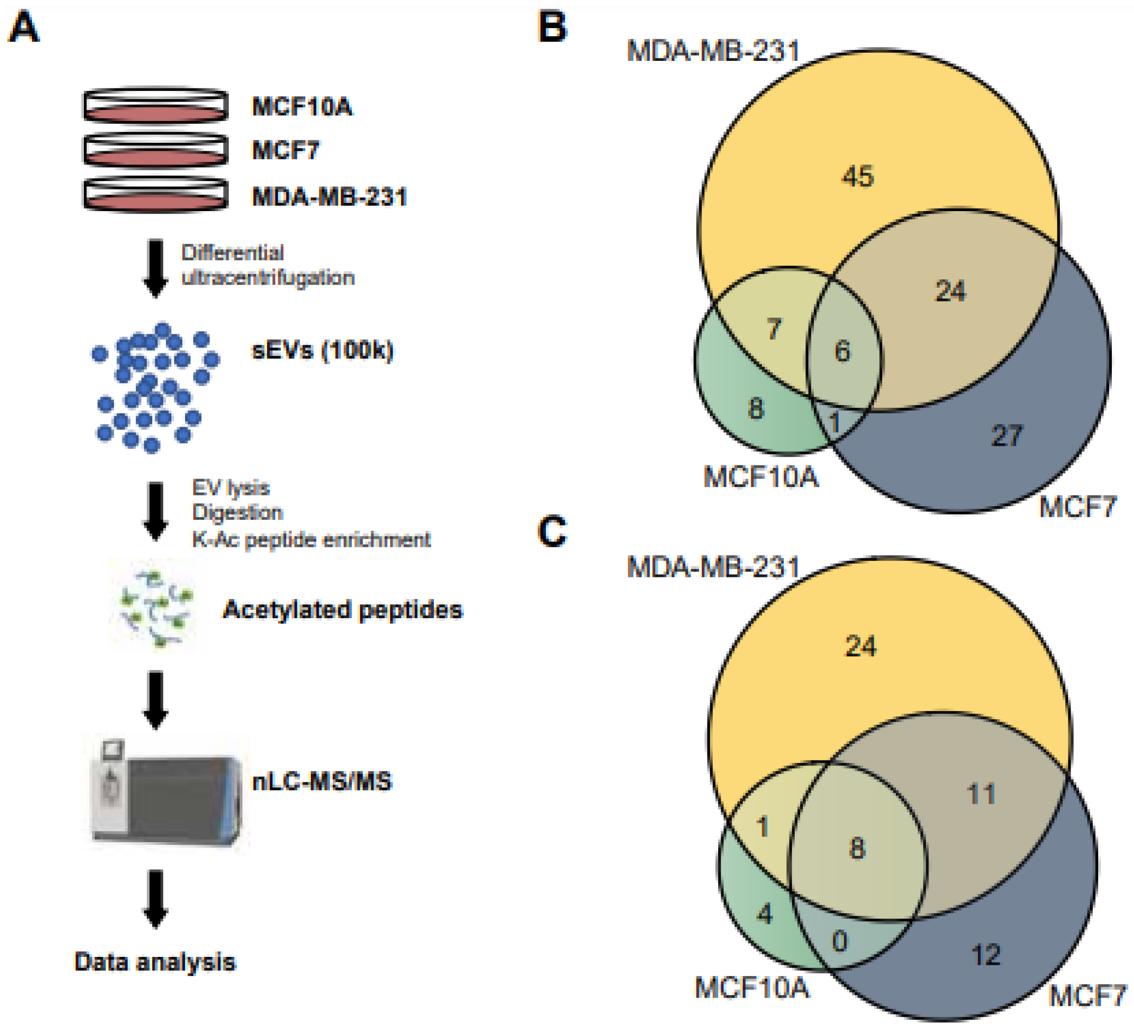Biomedicines 11 01076 g002