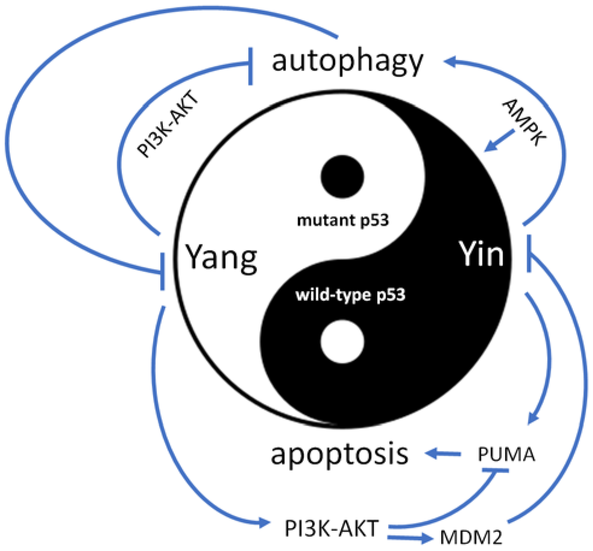 Biomedicines 11 01192 g002