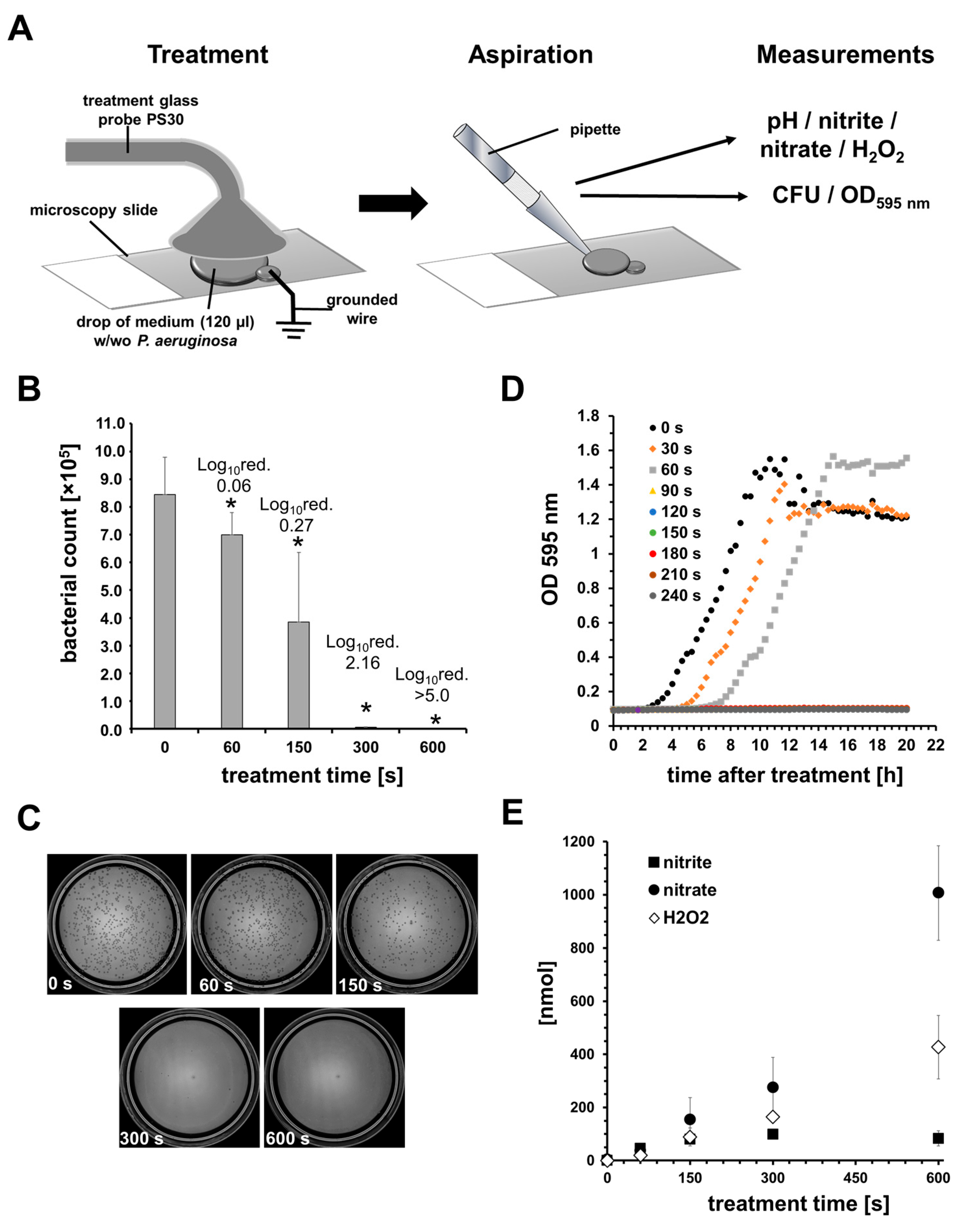 Biomedicines 11 01239 g002