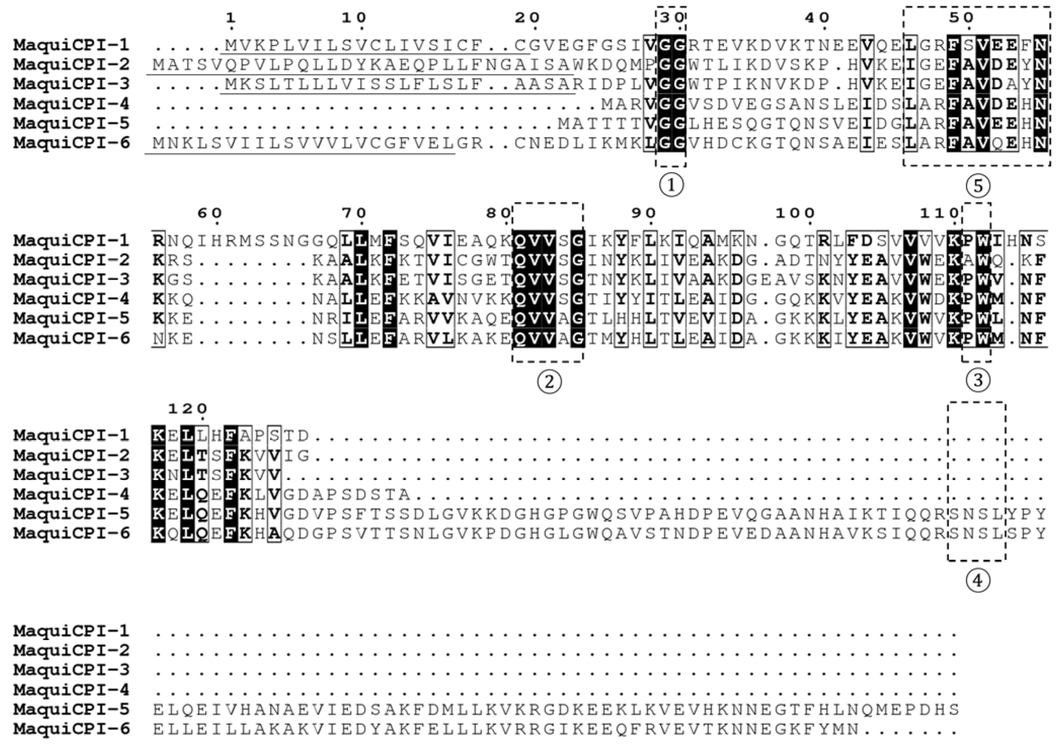 Biomedicines 11 01360 g001 Biomedicines 11 01360 g001