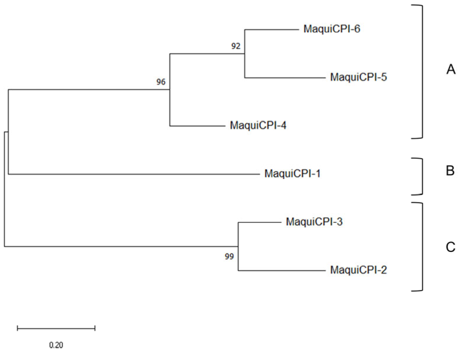 Biomedicines 11 01360 g002 Biomedicines 11 01360 g002