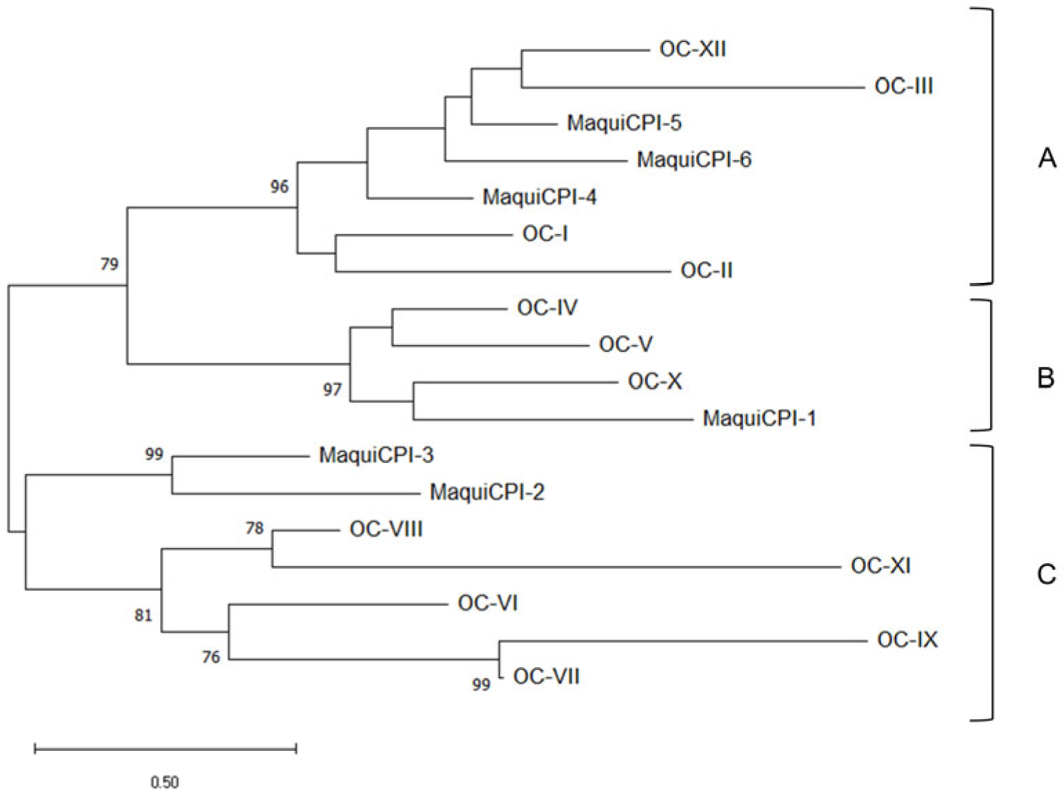 Biomedicines 11 01360 g003 Biomedicines 11 01360 g003