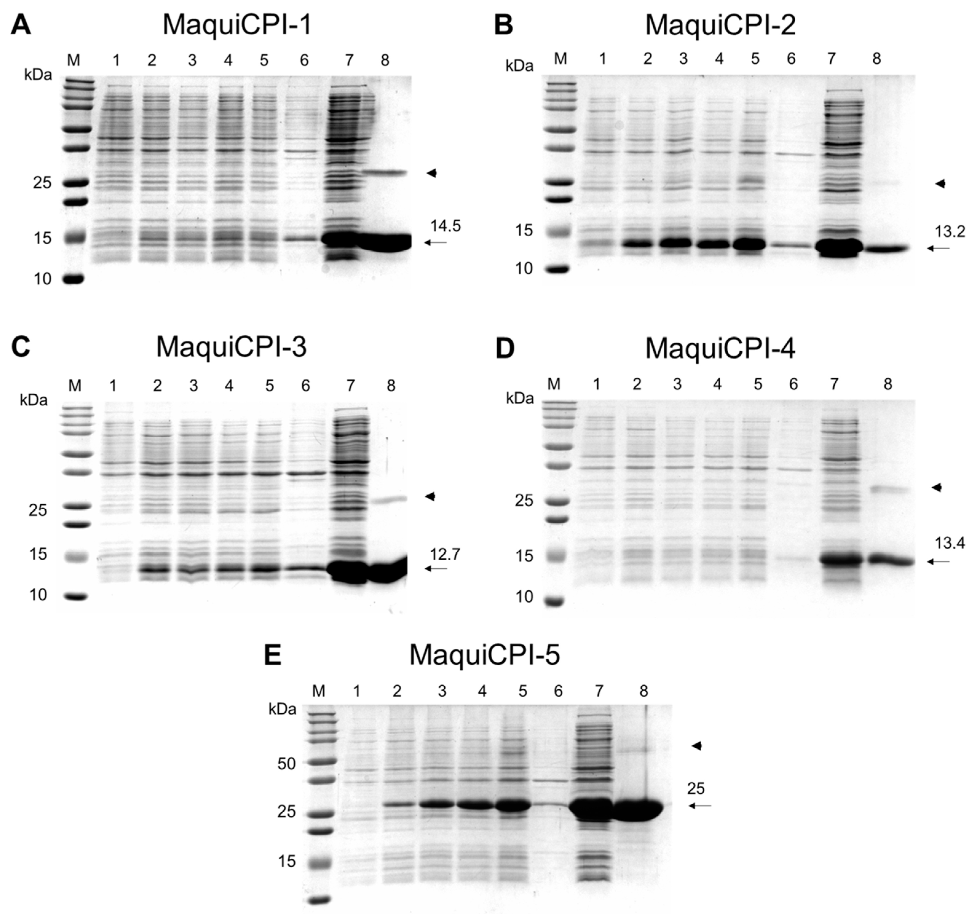 Biomedicines 11 01360 g004 Biomedicines 11 01360 g004